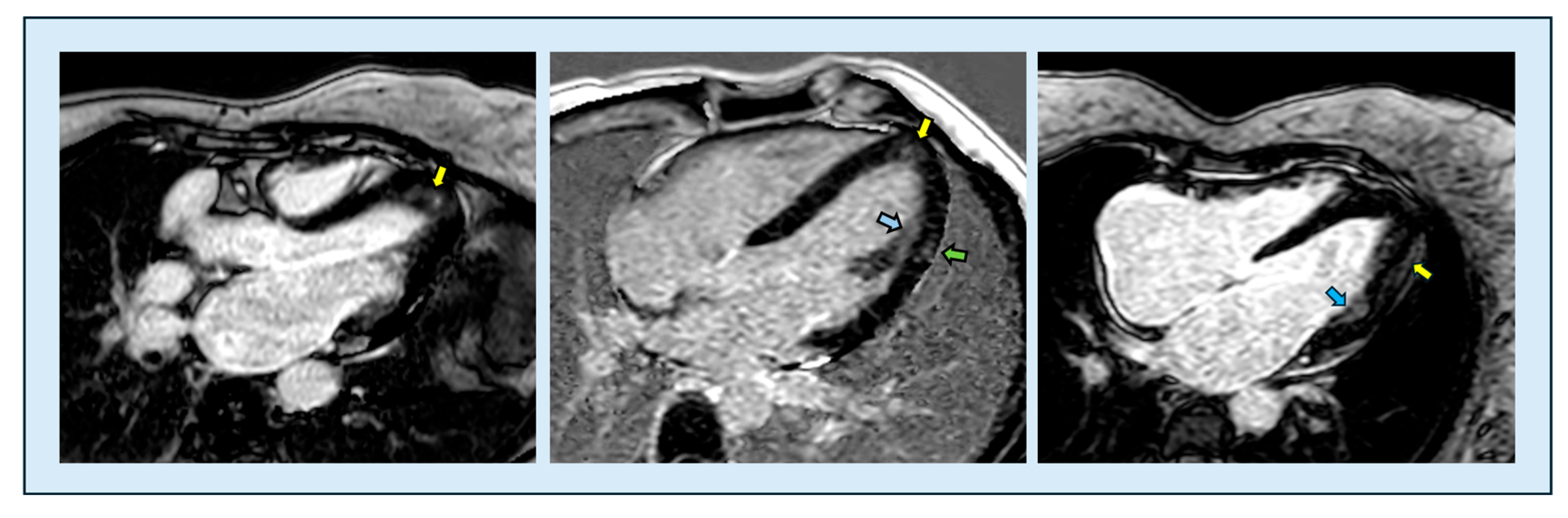 Diagnostics 15 03013 g008