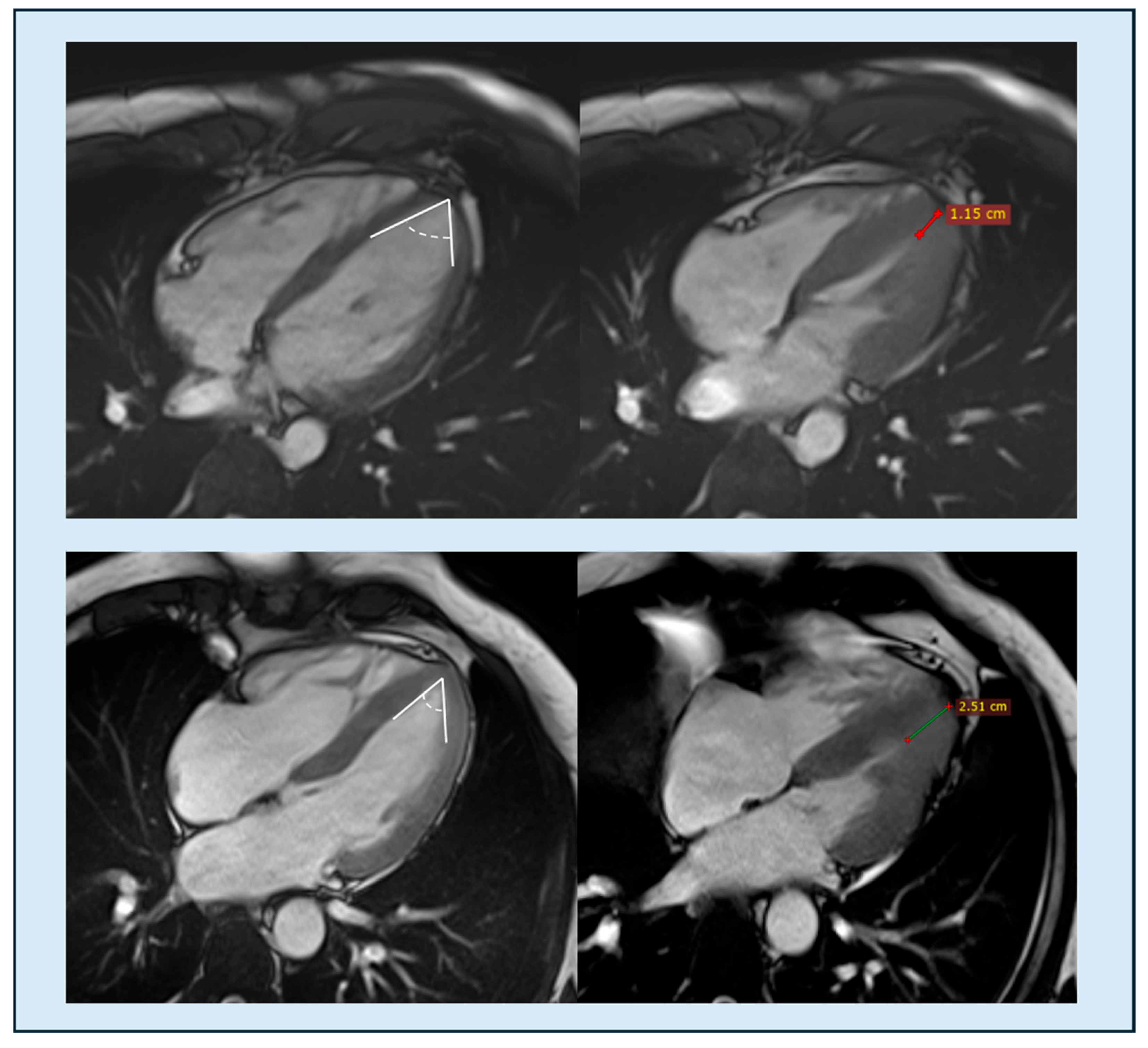 Diagnostics 15 03013 g009