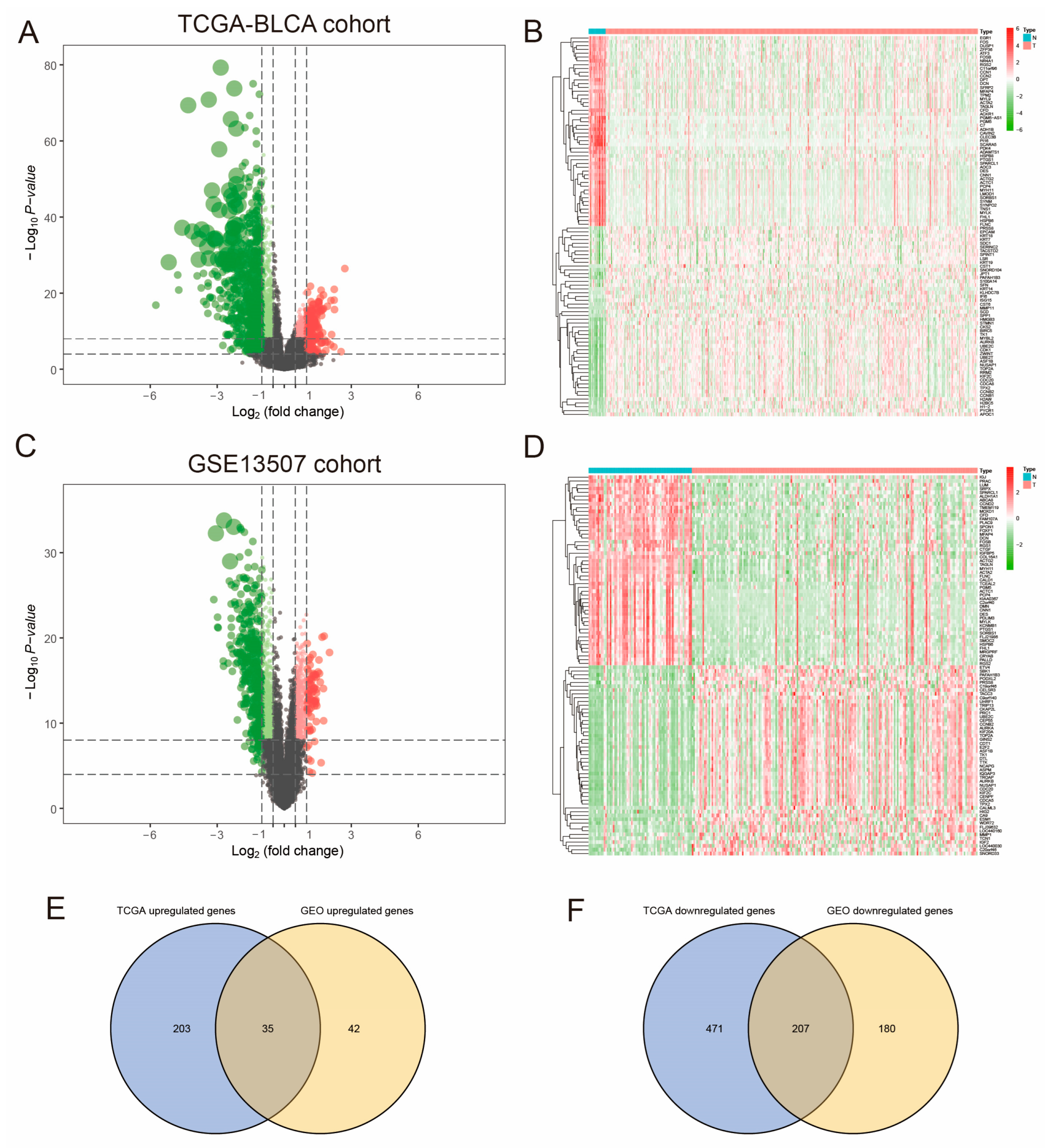 Diagnostics 15 03016 g001 Diagnostics 15 03016 g001