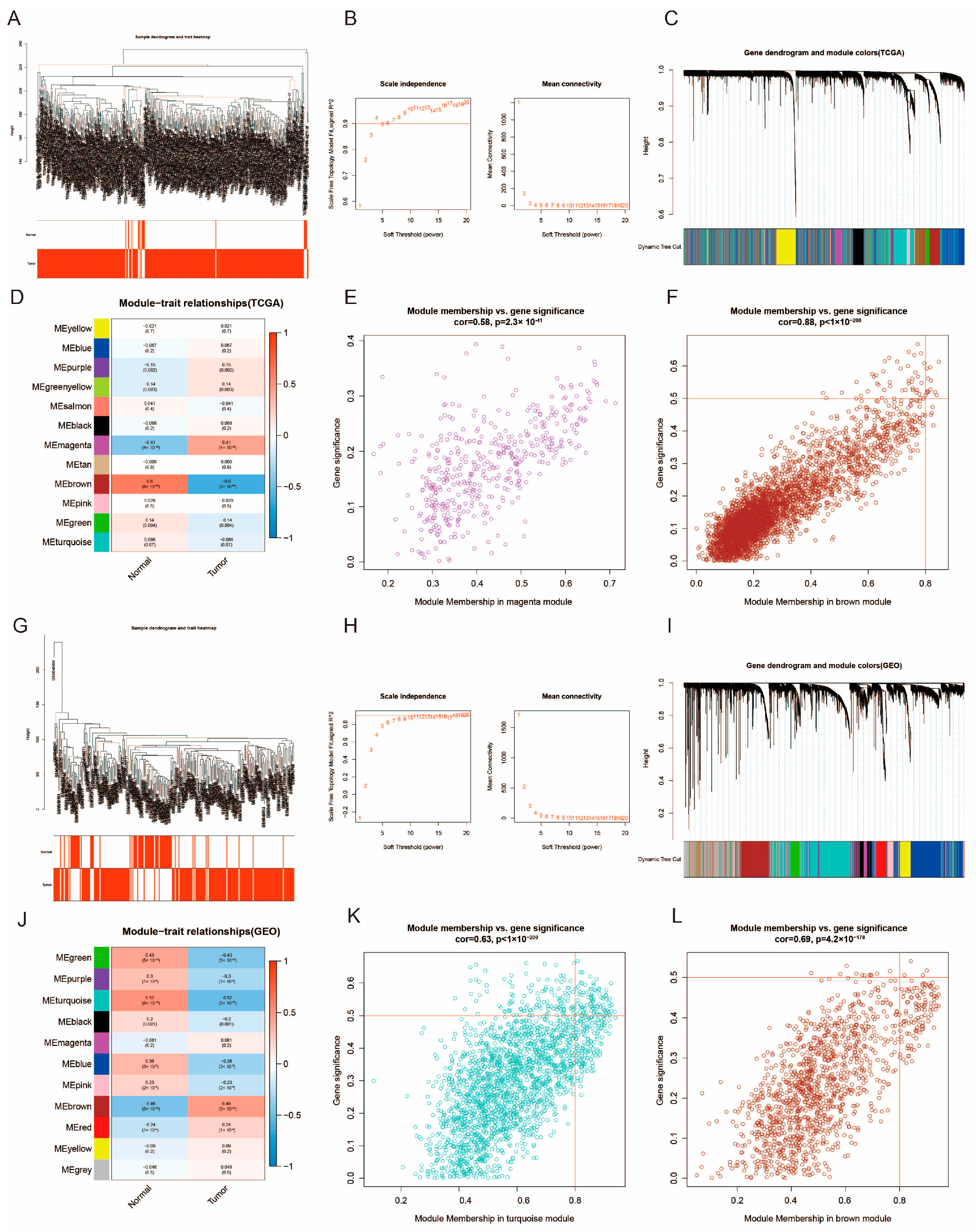 Diagnostics 15 03016 g002 Diagnostics 15 03016 g002