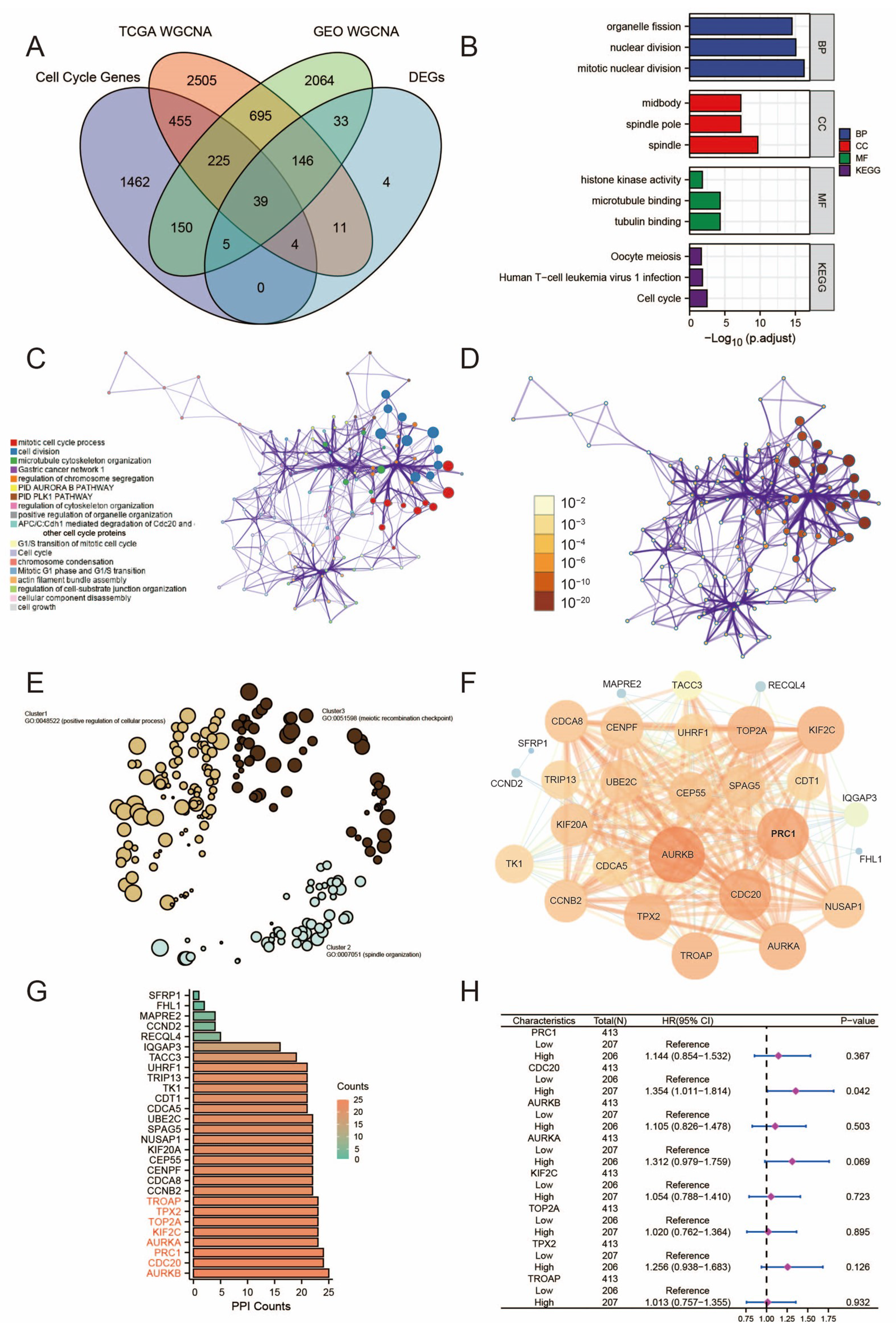 Diagnostics 15 03016 g003 Diagnostics 15 03016 g003