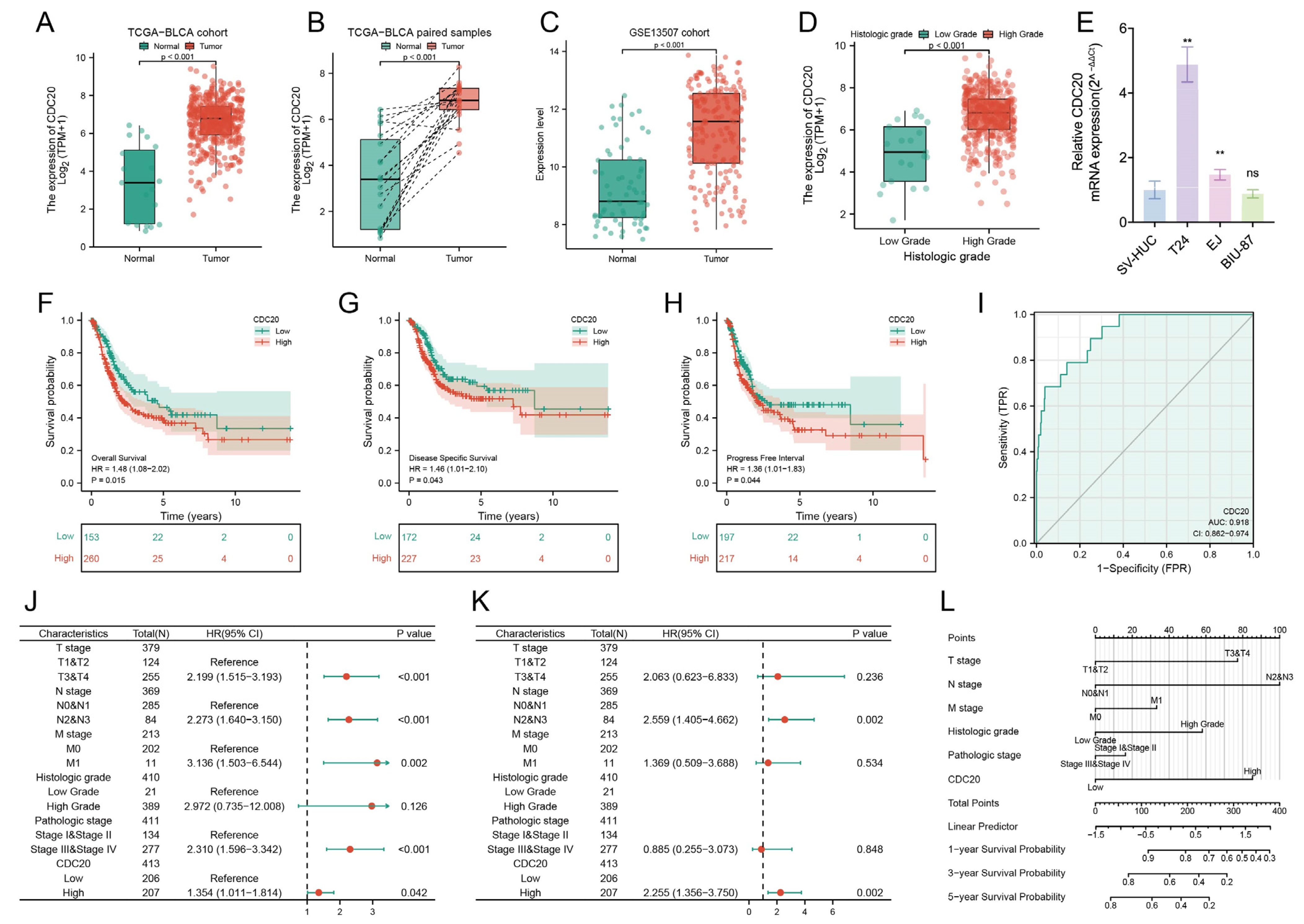 Diagnostics 15 03016 g004 Diagnostics 15 03016 g004