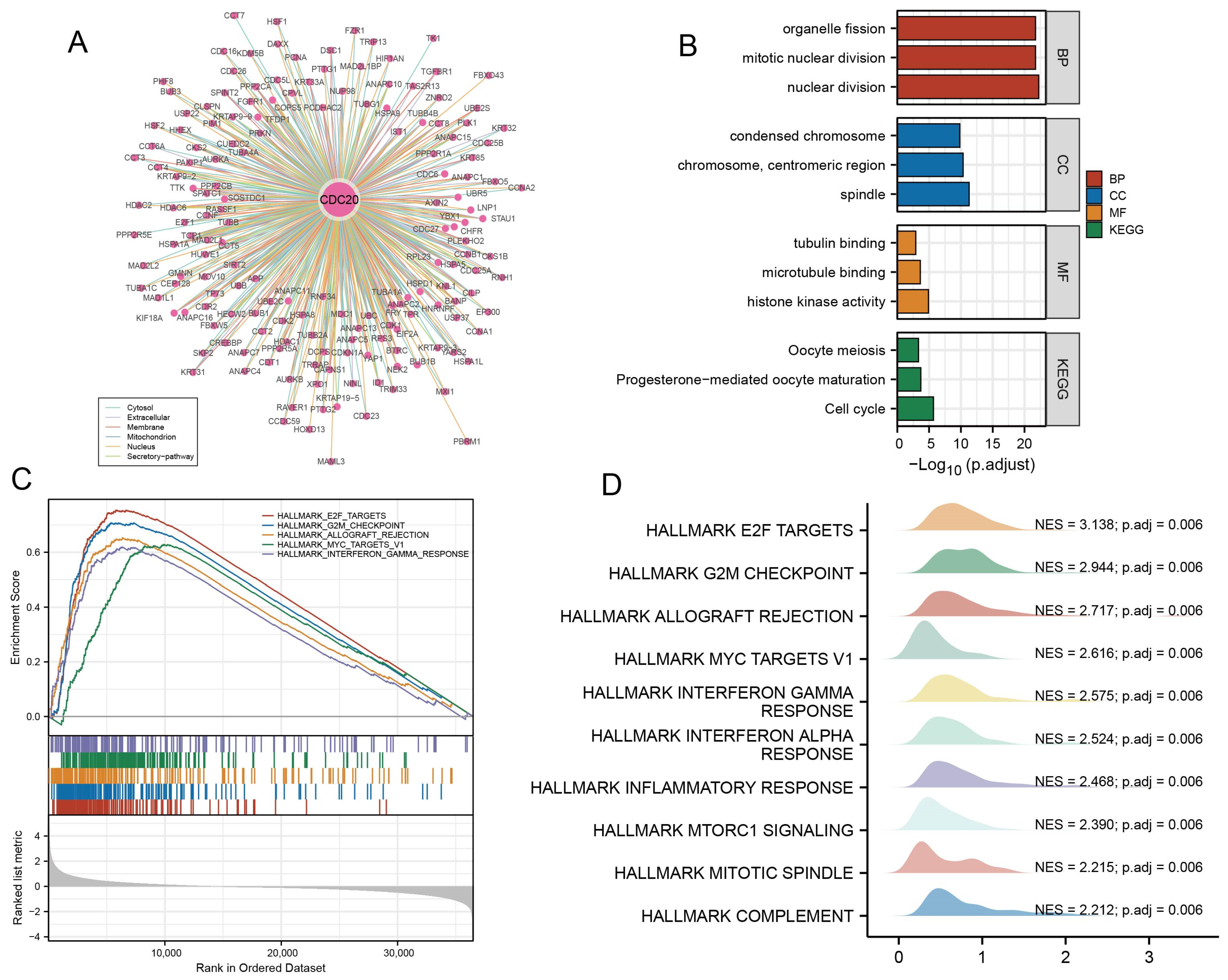 Diagnostics 15 03016 g005 Diagnostics 15 03016 g005