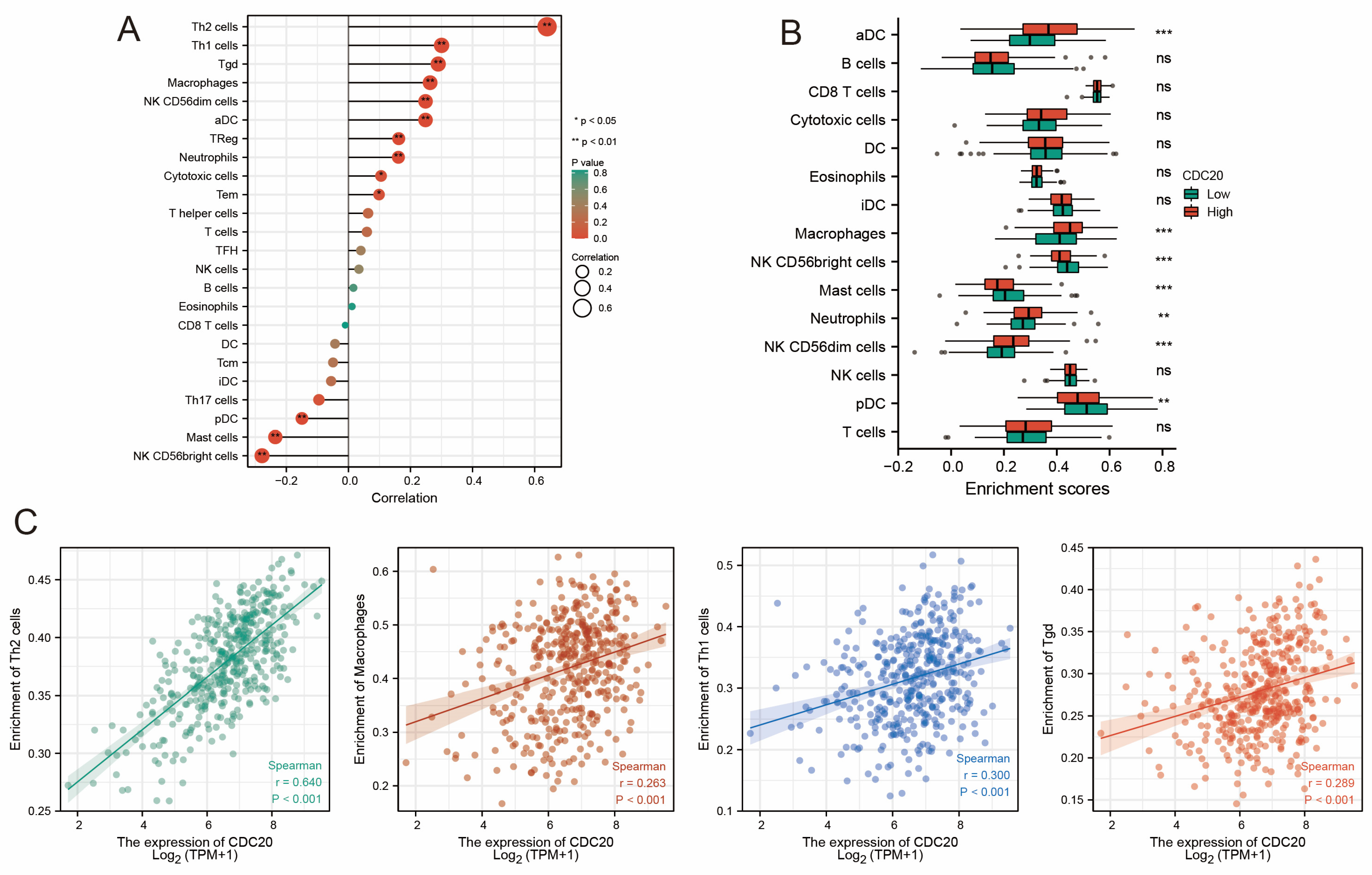 Diagnostics 15 03016 g006 Diagnostics 15 03016 g006