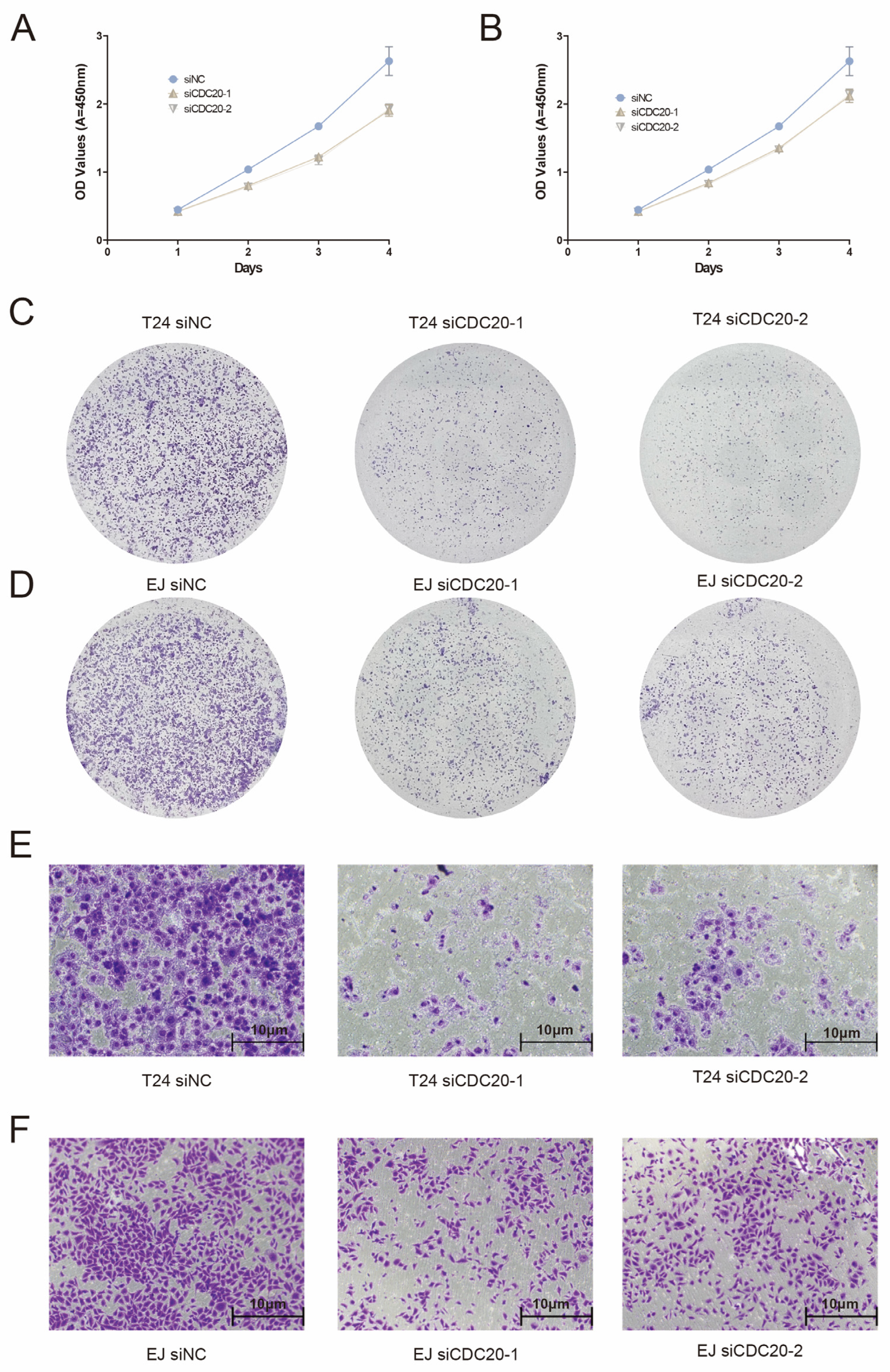 Diagnostics 15 03016 g007 Diagnostics 15 03016 g007