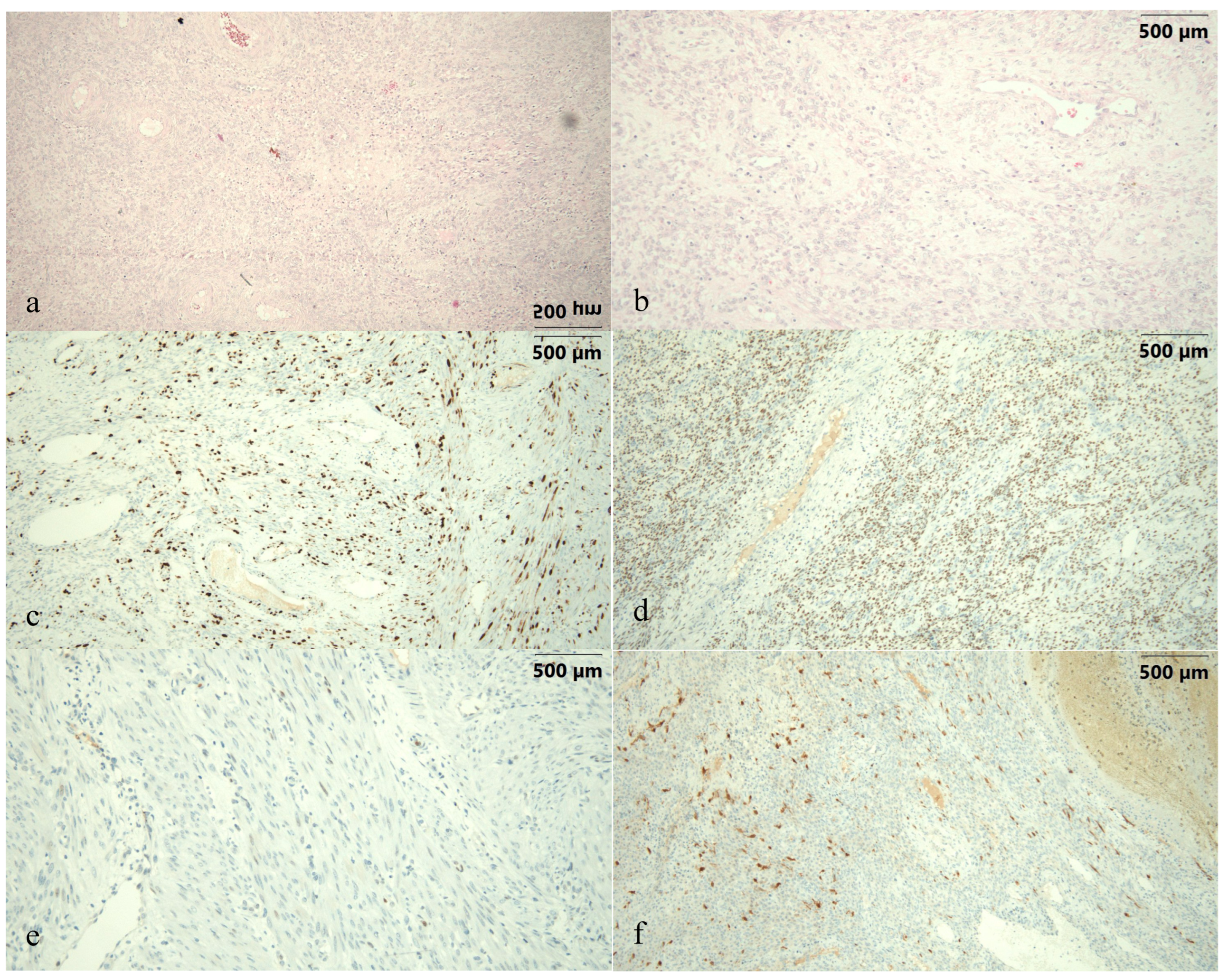 Diagnostics 15 03018 g001