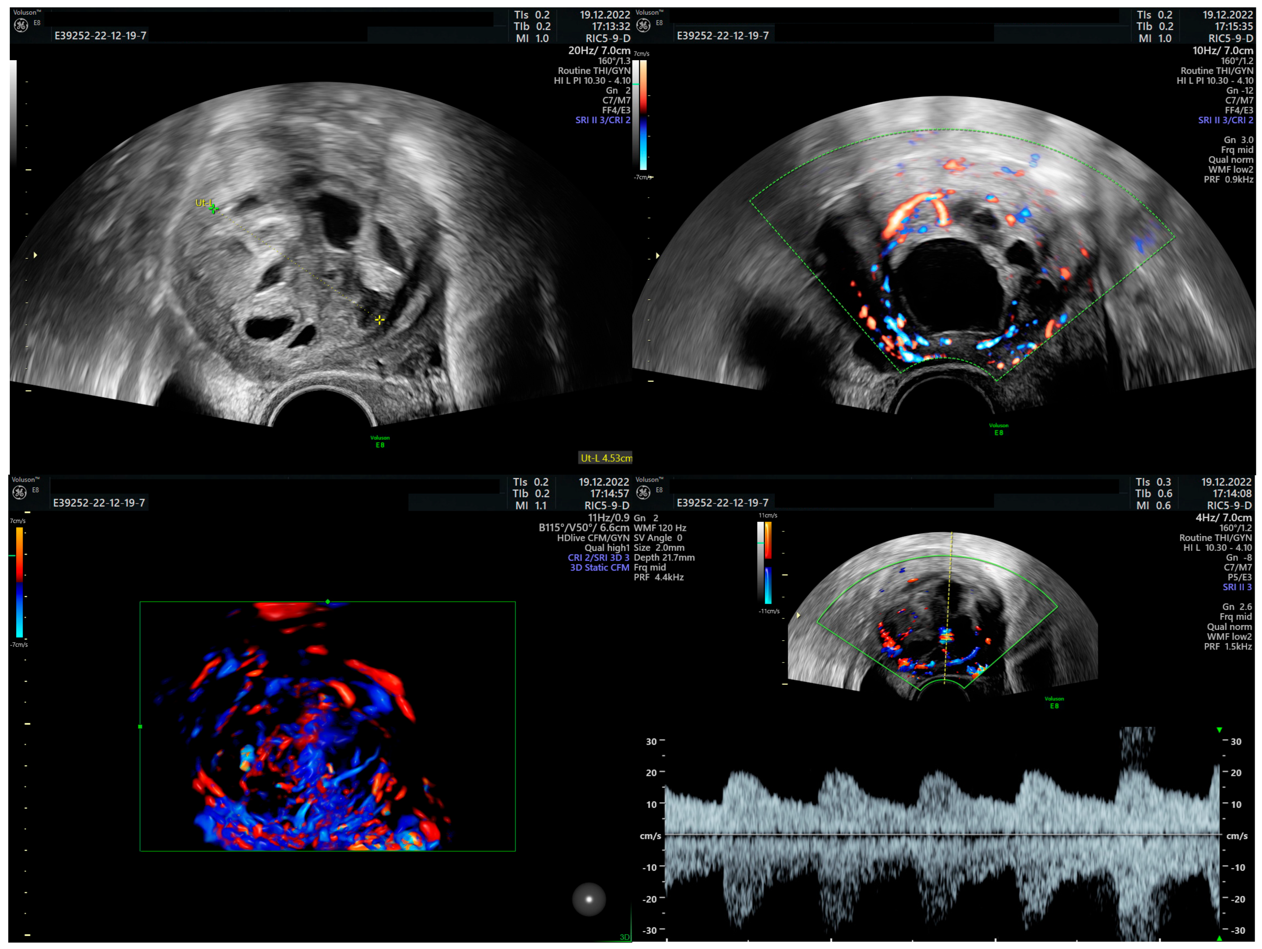 Diagnostics 15 03018 g003
