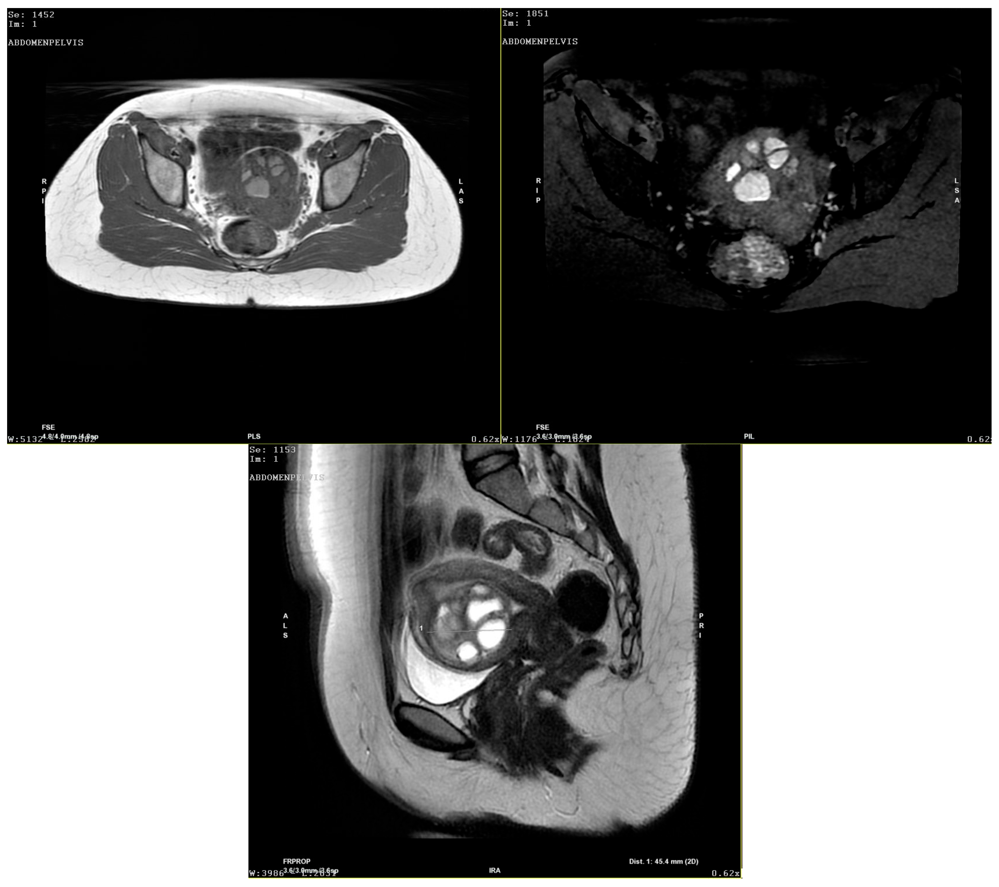 Diagnostics 15 03018 g004