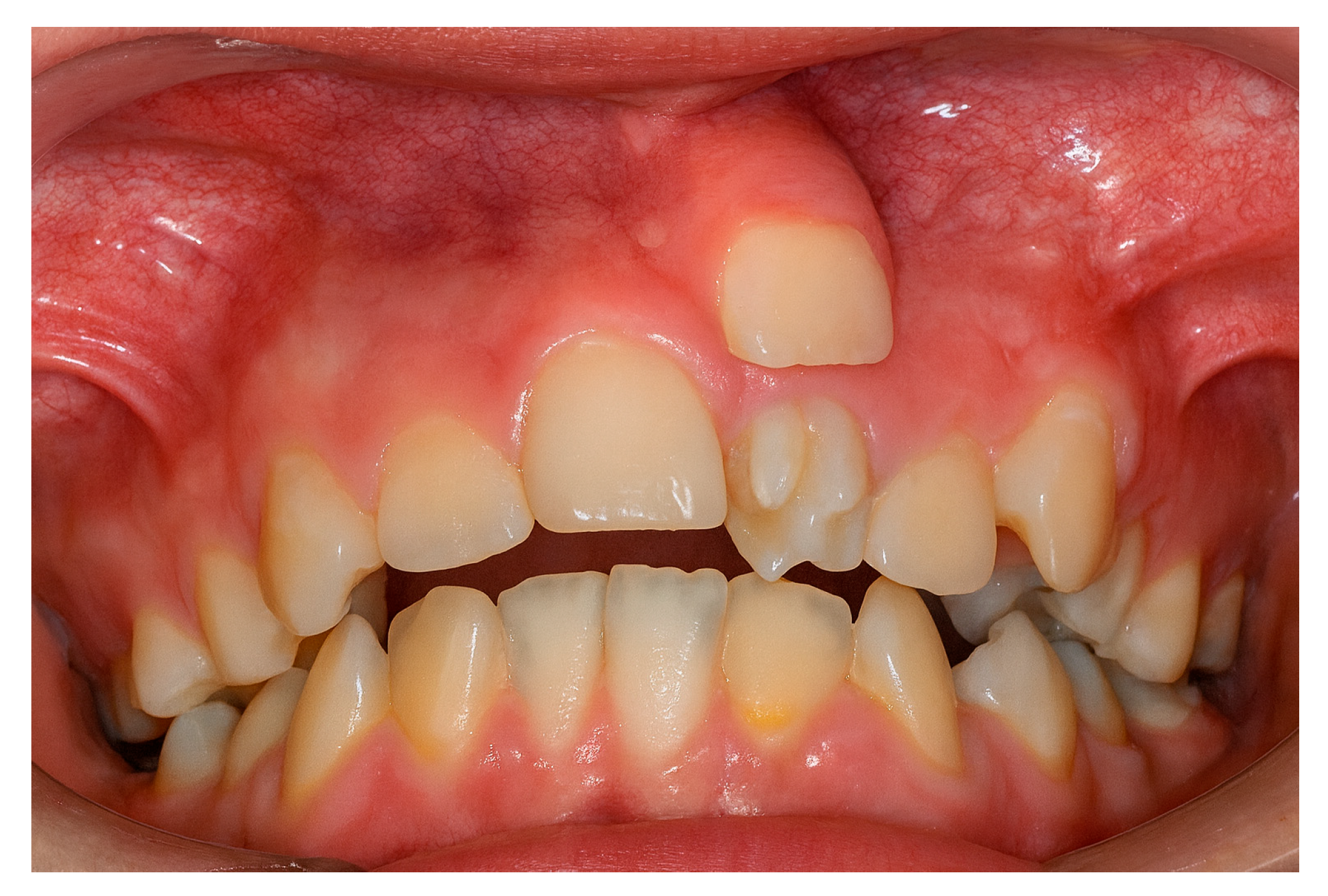 Diagnostics 15 03019 g001