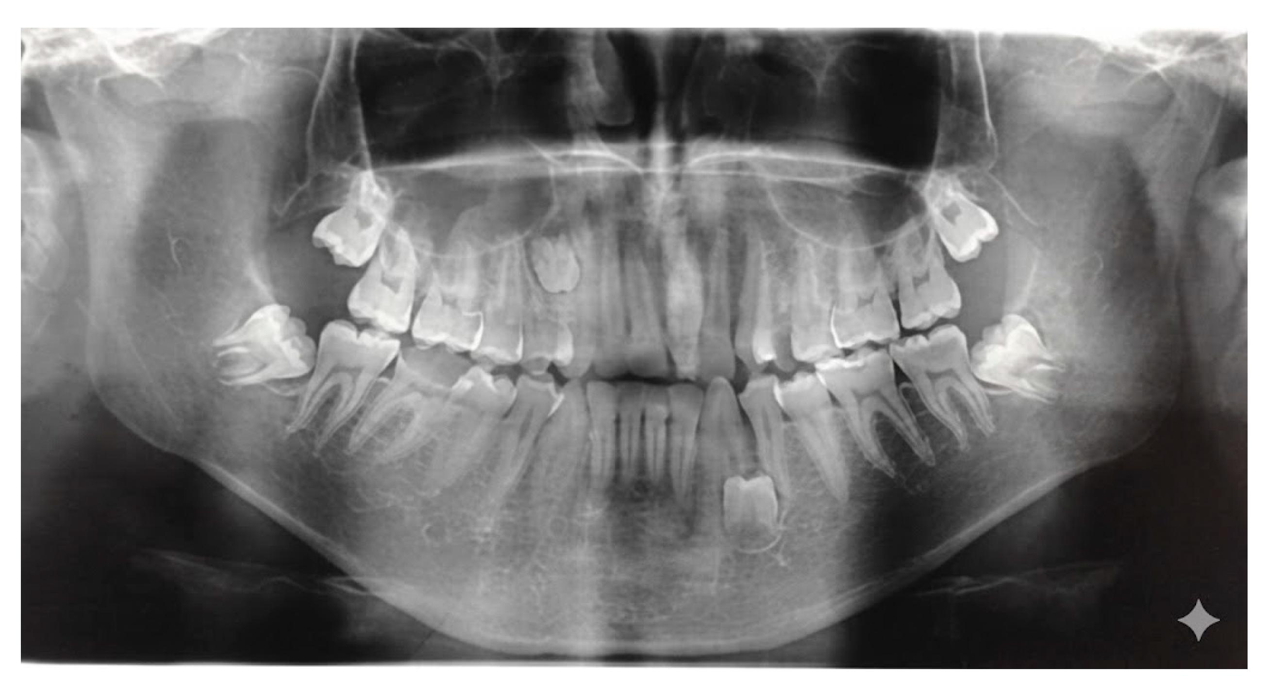 Diagnostics 15 03019 g003