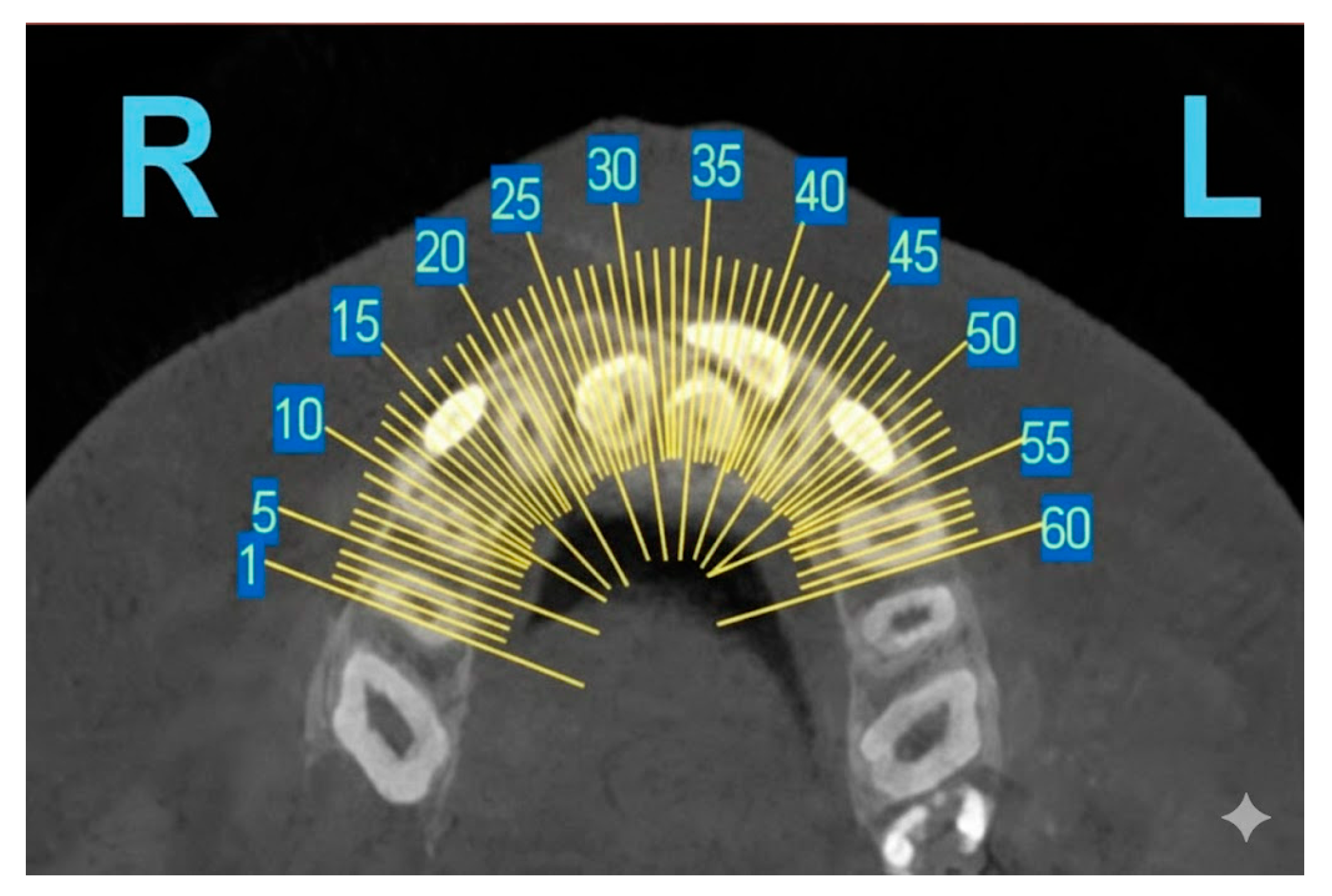 Diagnostics 15 03019 g004