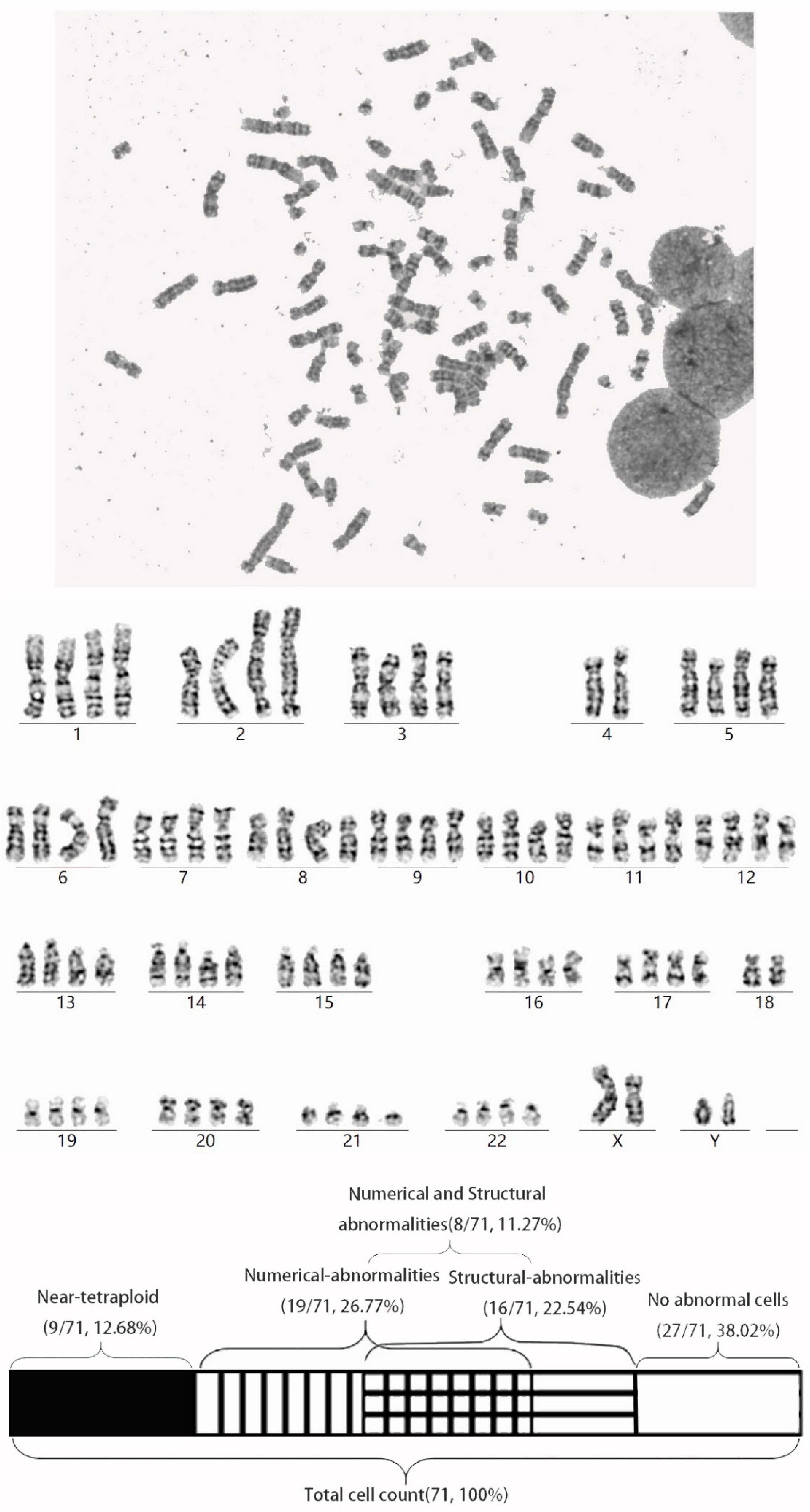 Diagnostics 15 03022 g001 Diagnostics 15 03022 g001