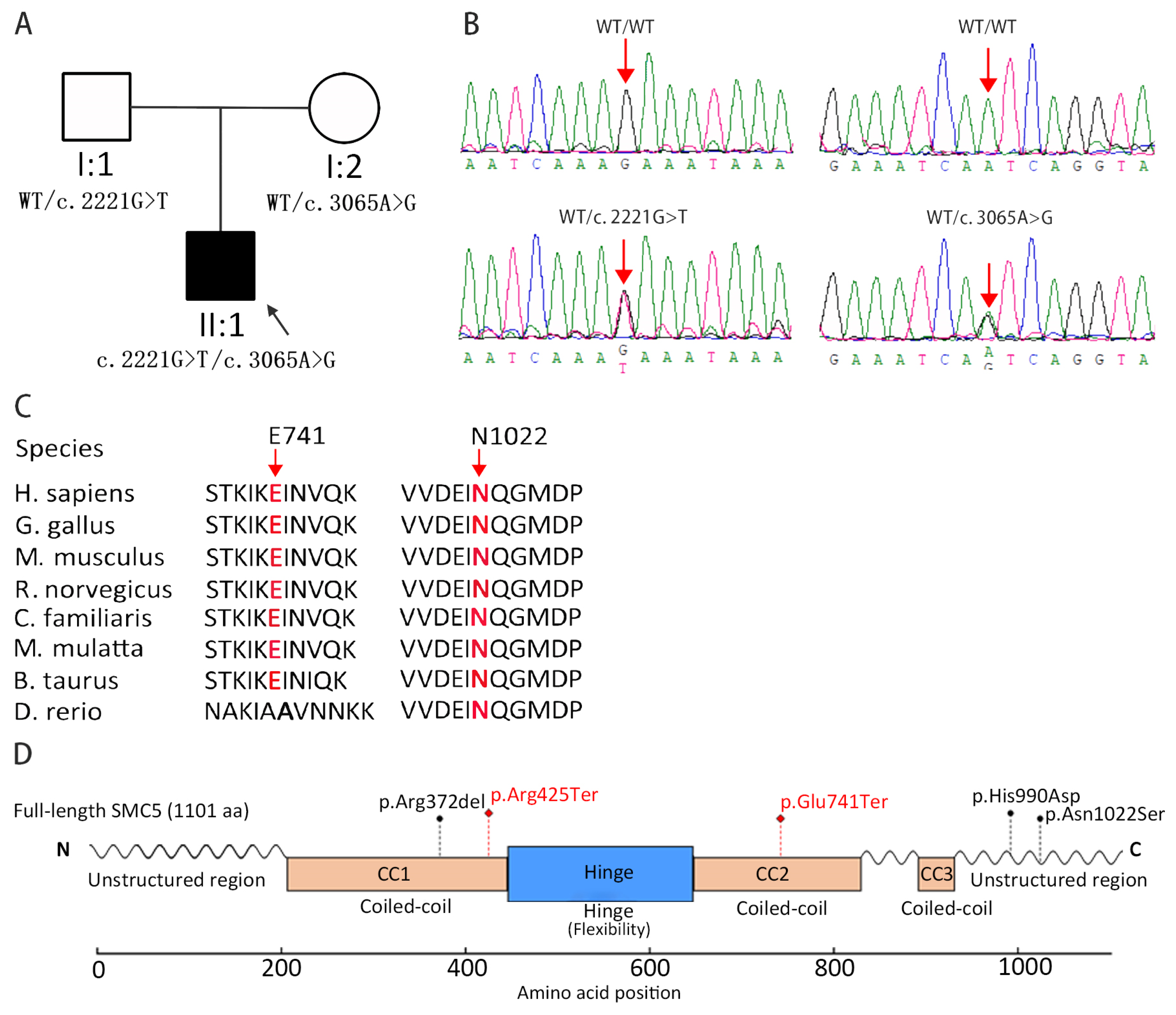 Diagnostics 15 03022 g002 Diagnostics 15 03022 g002