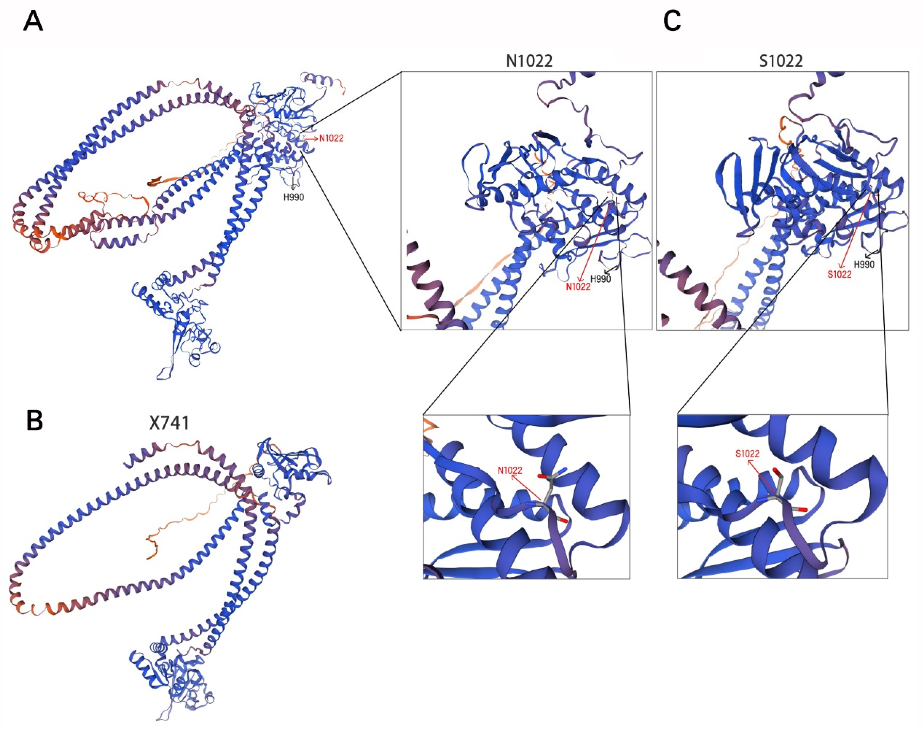 Diagnostics 15 03022 g003 Diagnostics 15 03022 g003