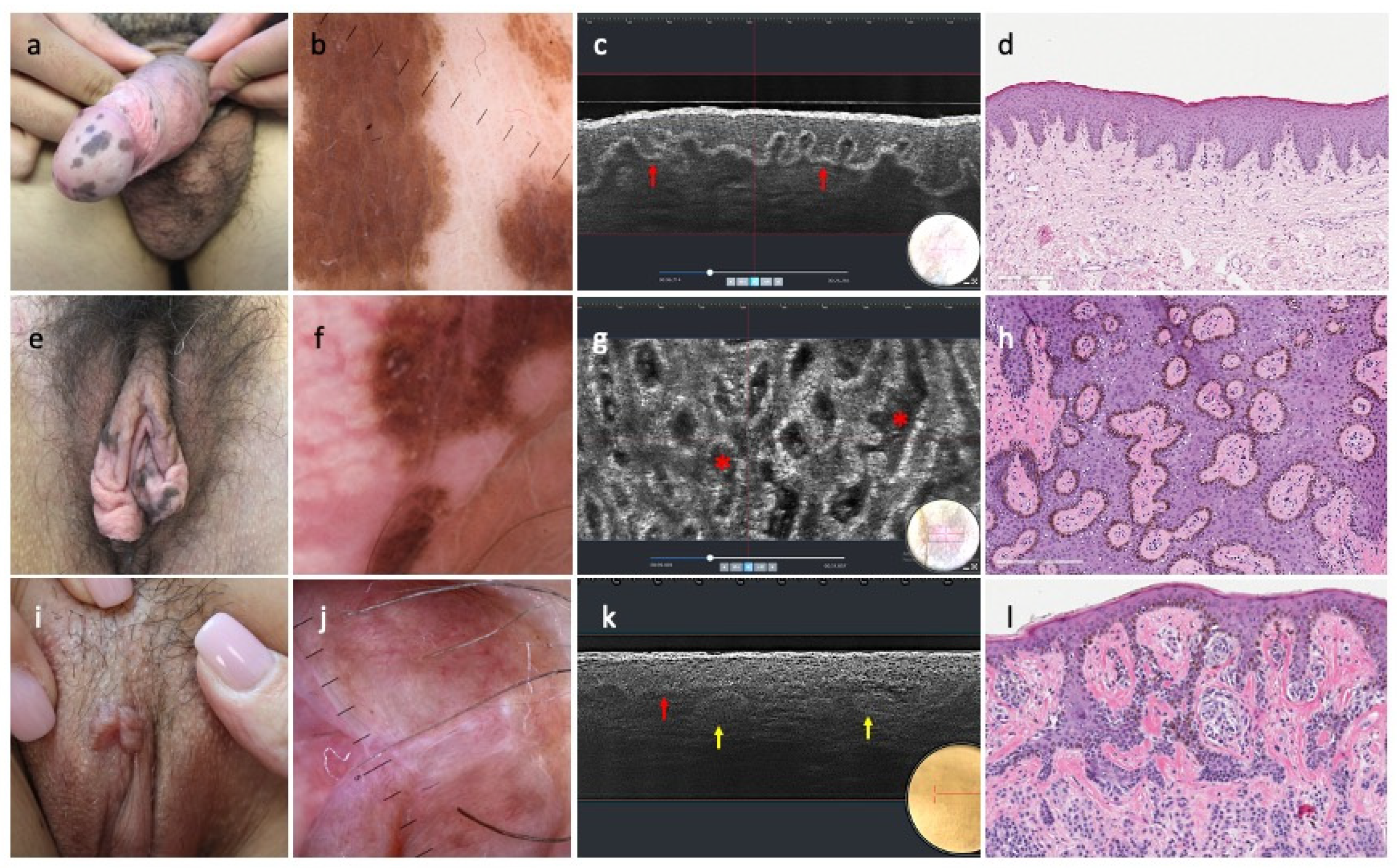 Diagnostics 15 03023 g001 Diagnostics 15 03023 g001