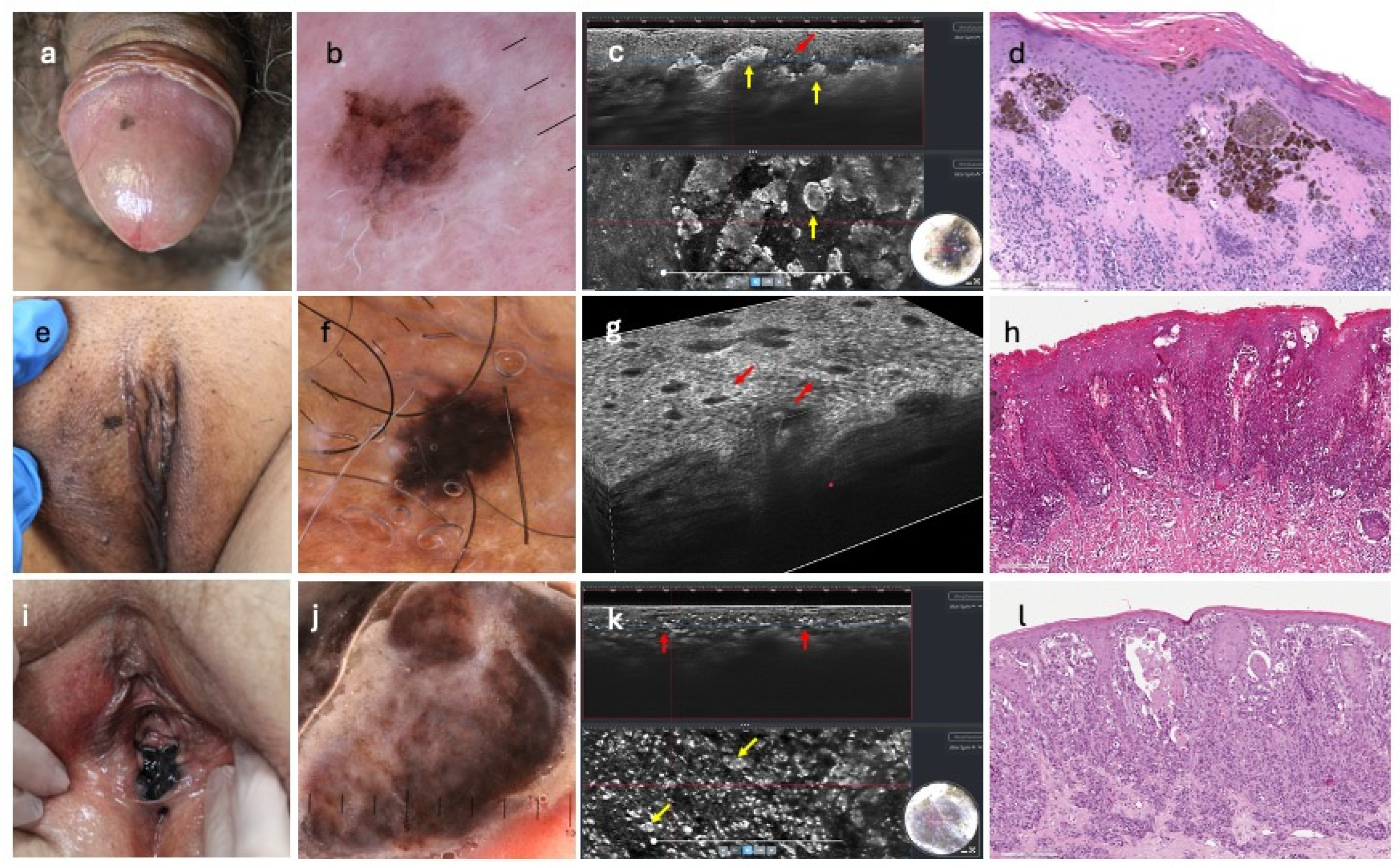 Diagnostics 15 03023 g002 Diagnostics 15 03023 g002