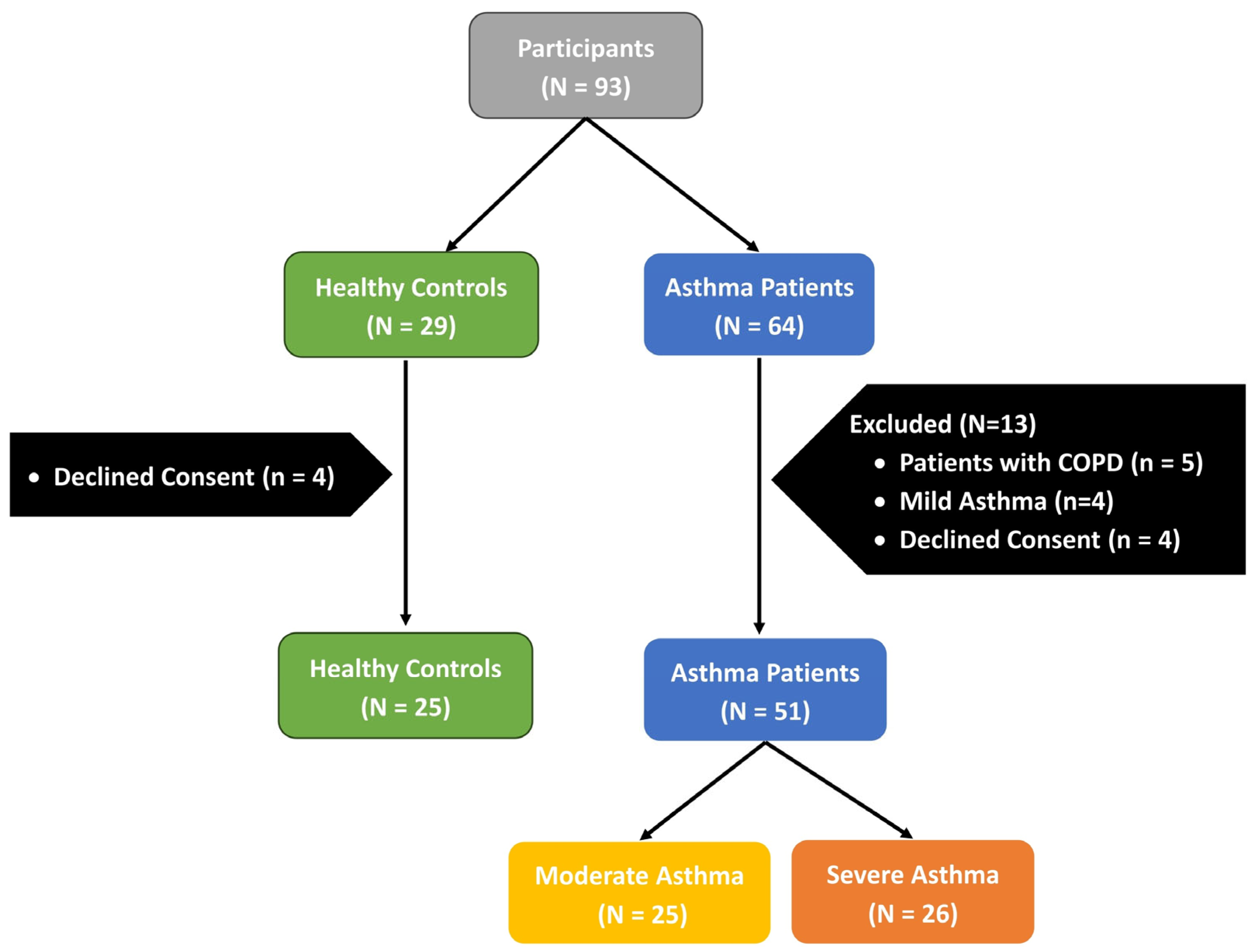 Diagnostics 15 03028 g001