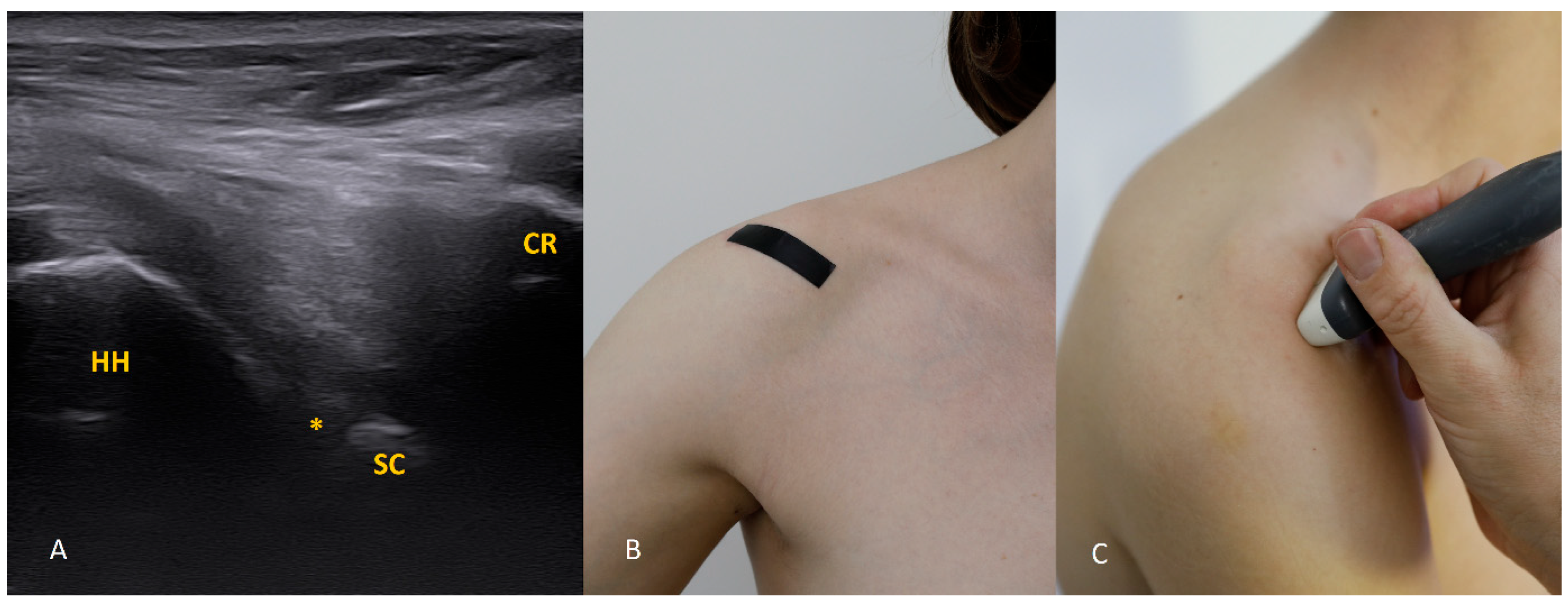 Diagnostics 15 03031 g001