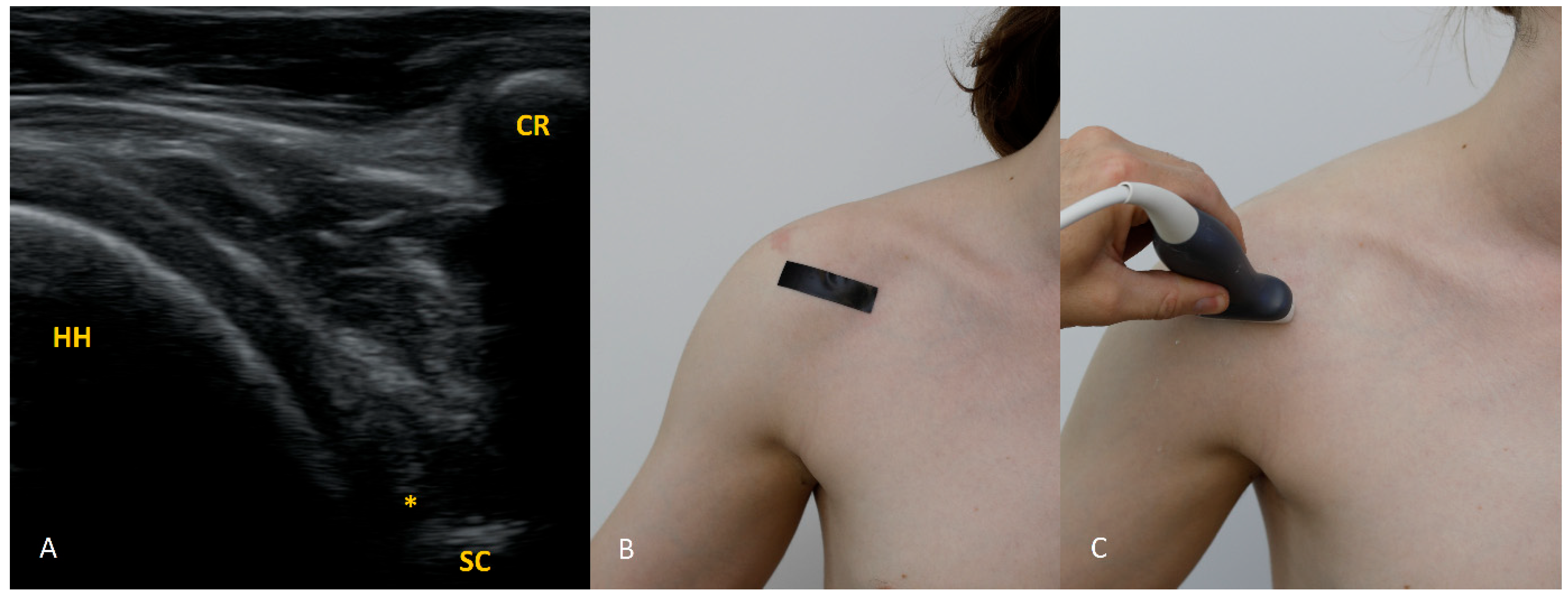 Diagnostics 15 03031 g002