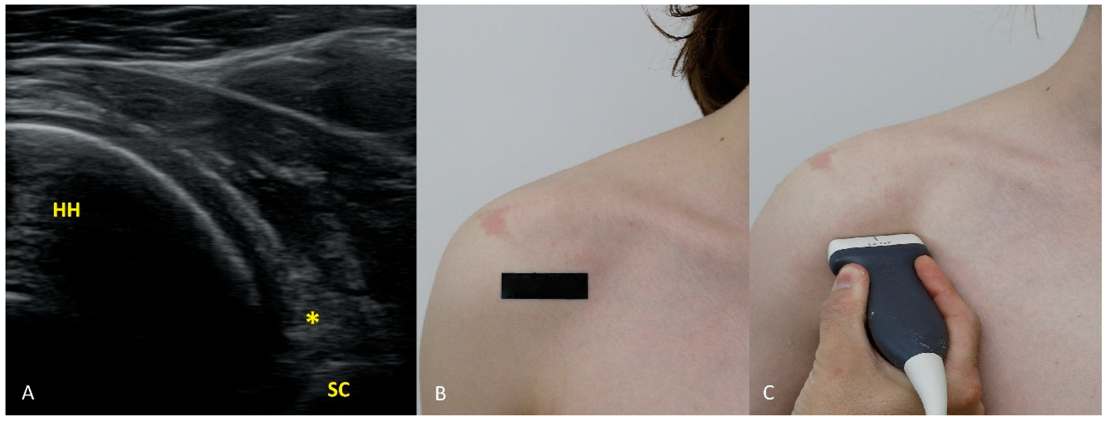 Diagnostics 15 03031 g003