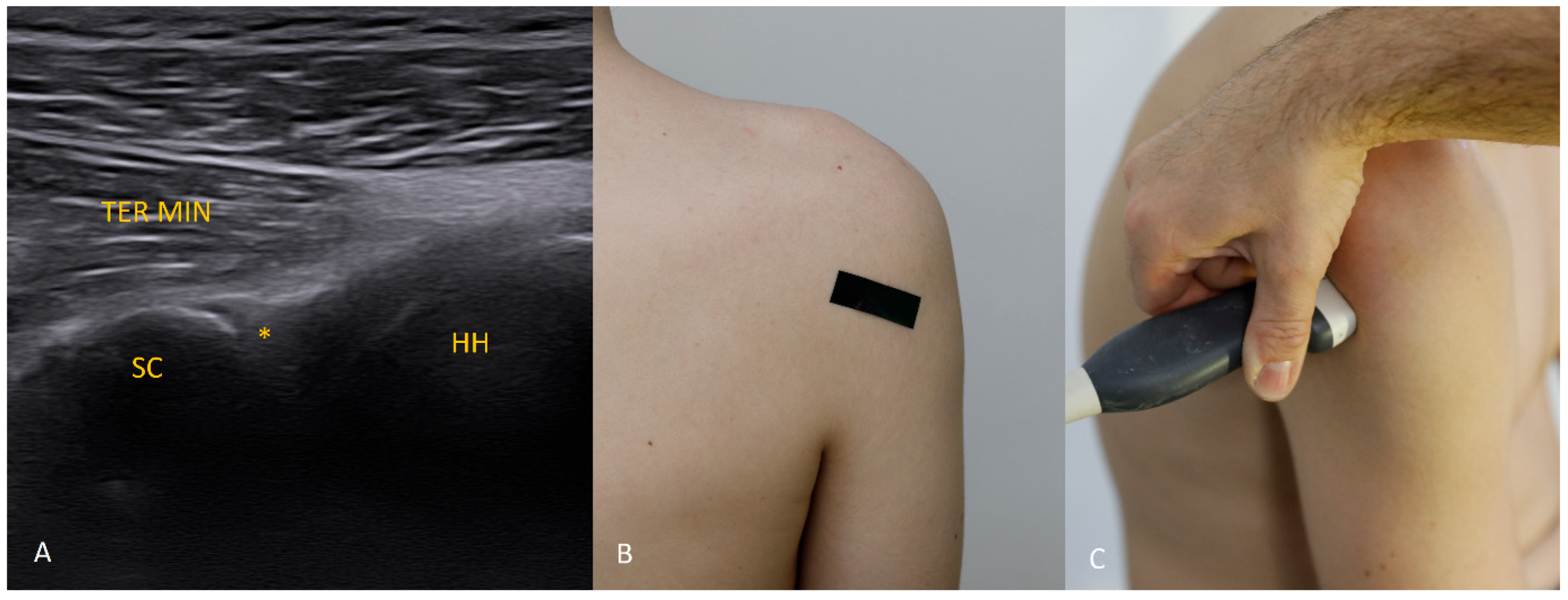 Diagnostics 15 03031 g008