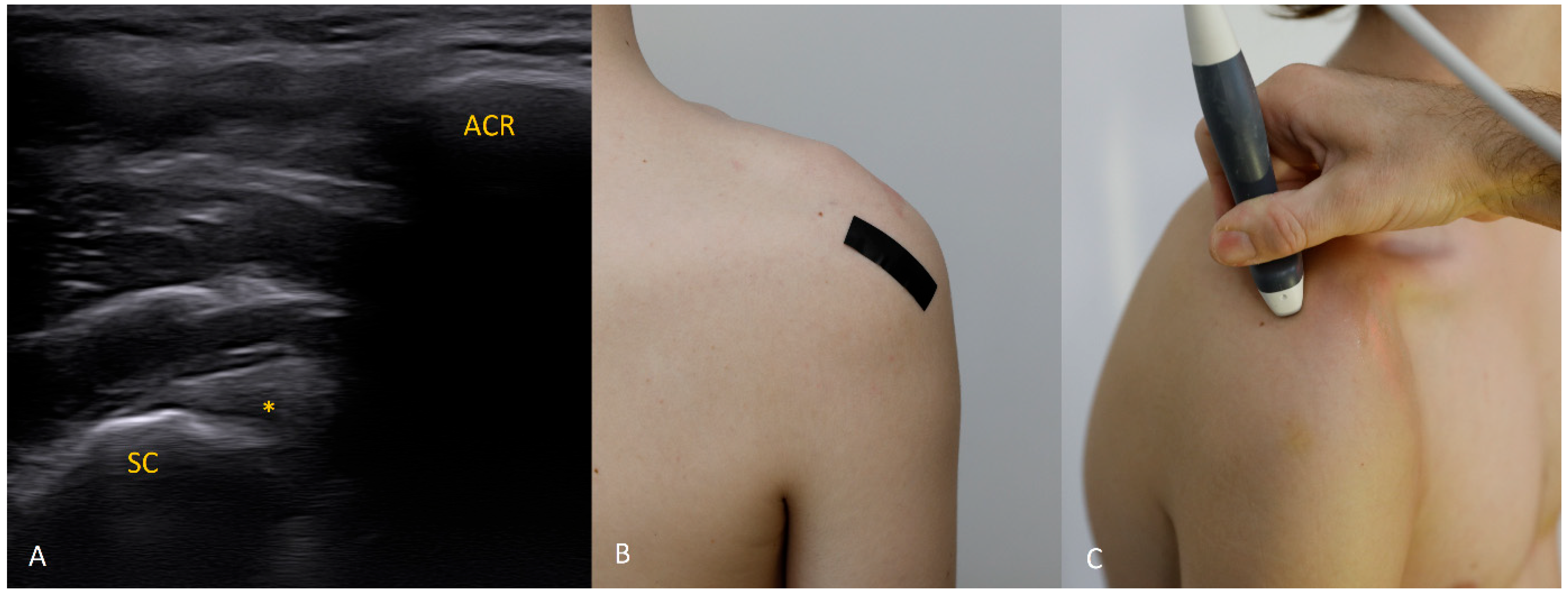 Diagnostics 15 03031 g011