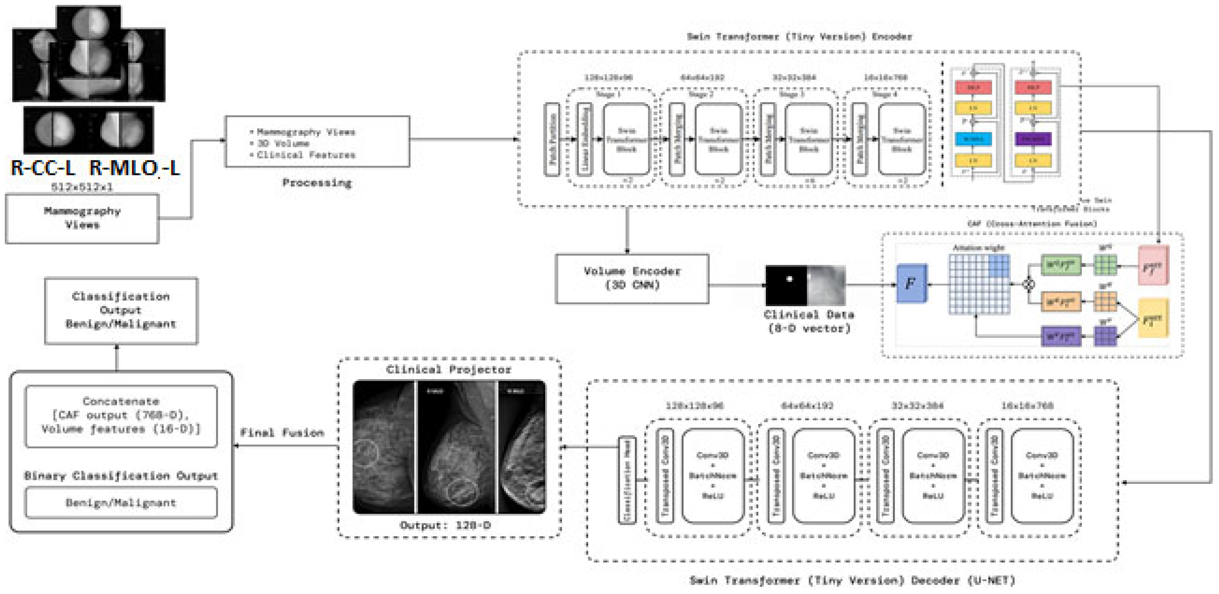 Diagnostics 15 03037 g001