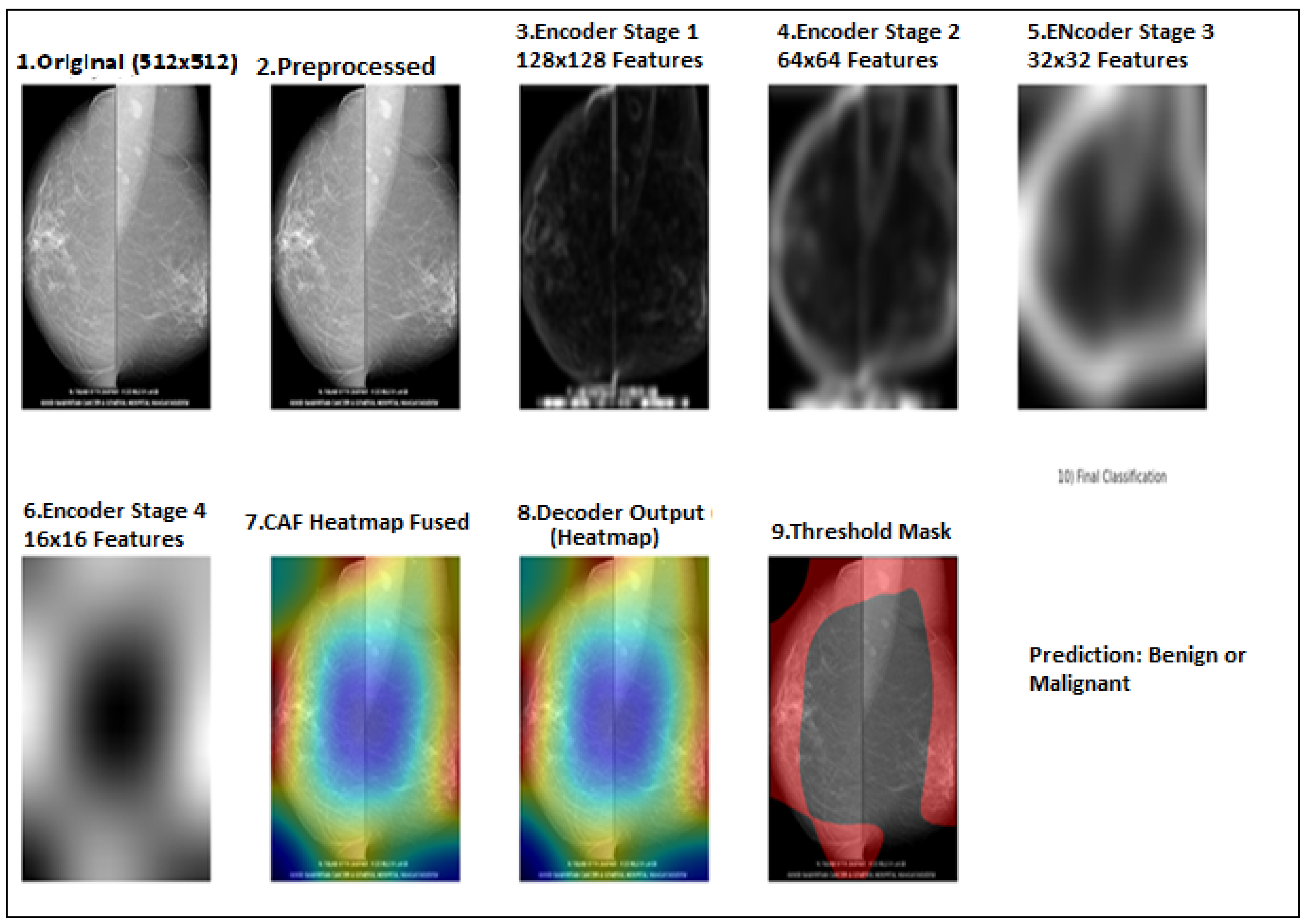 Diagnostics 15 03037 g002