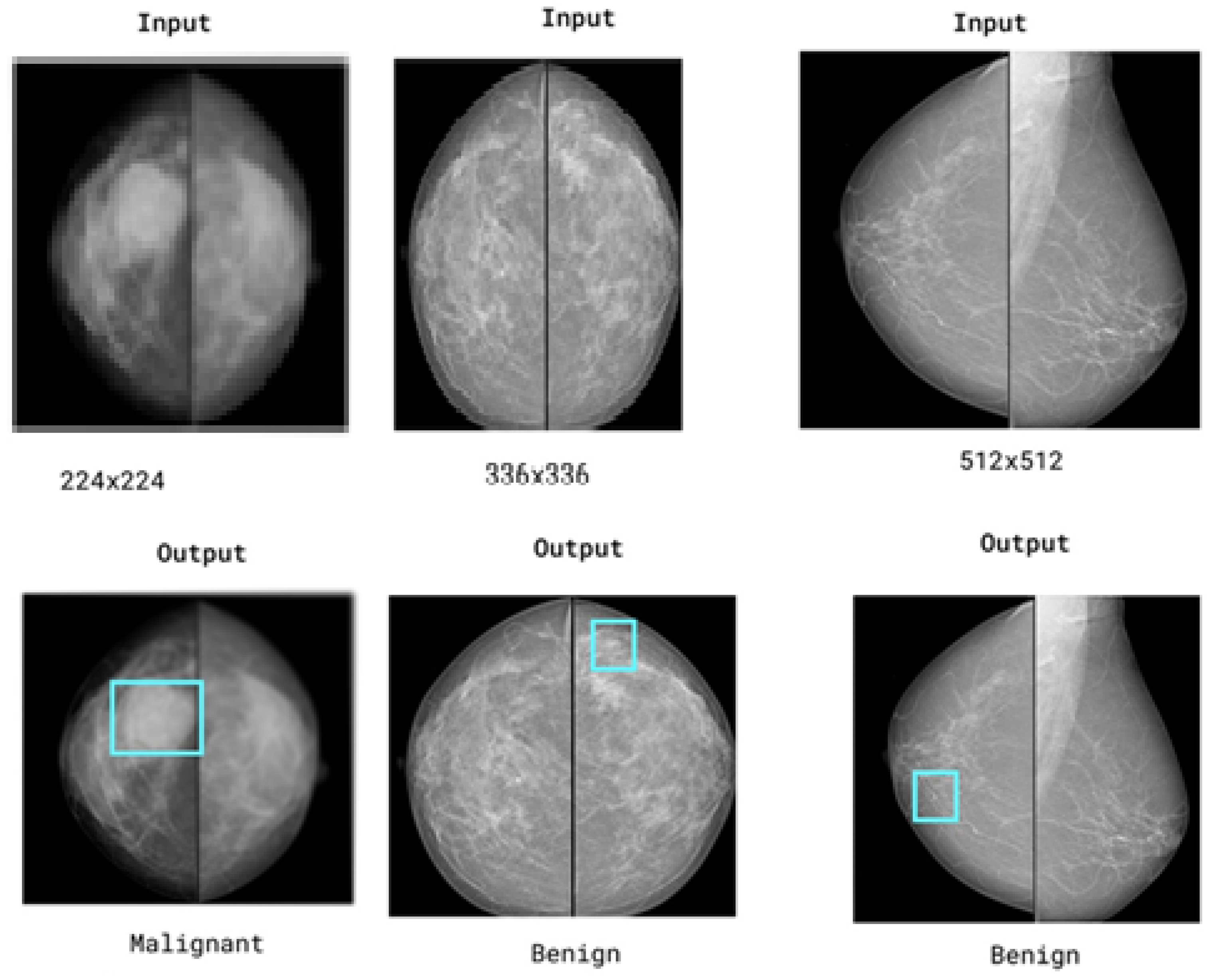 Diagnostics 15 03037 g015