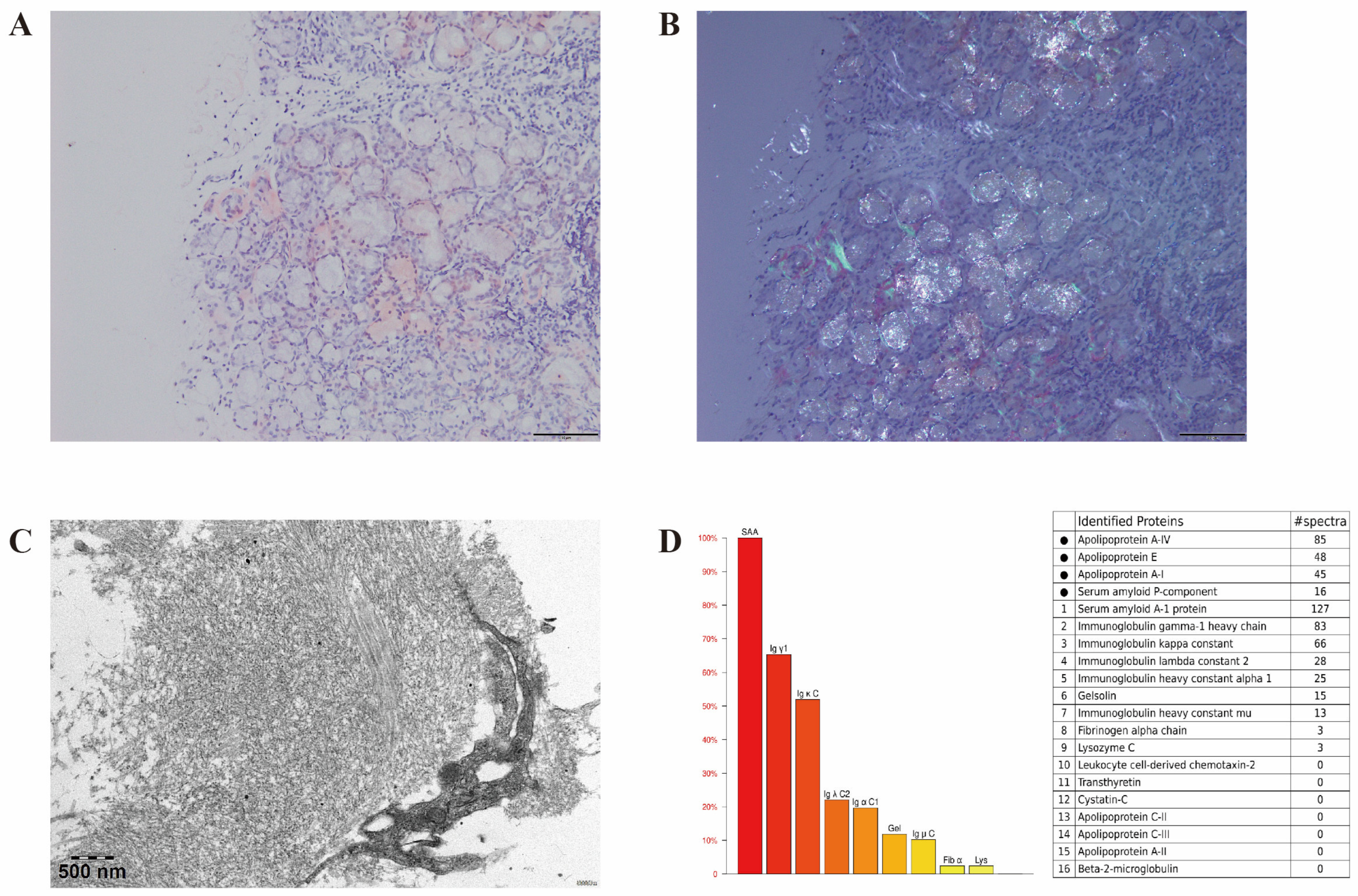 Diagnostics 15 03040 g002 Diagnostics 15 03040 g002