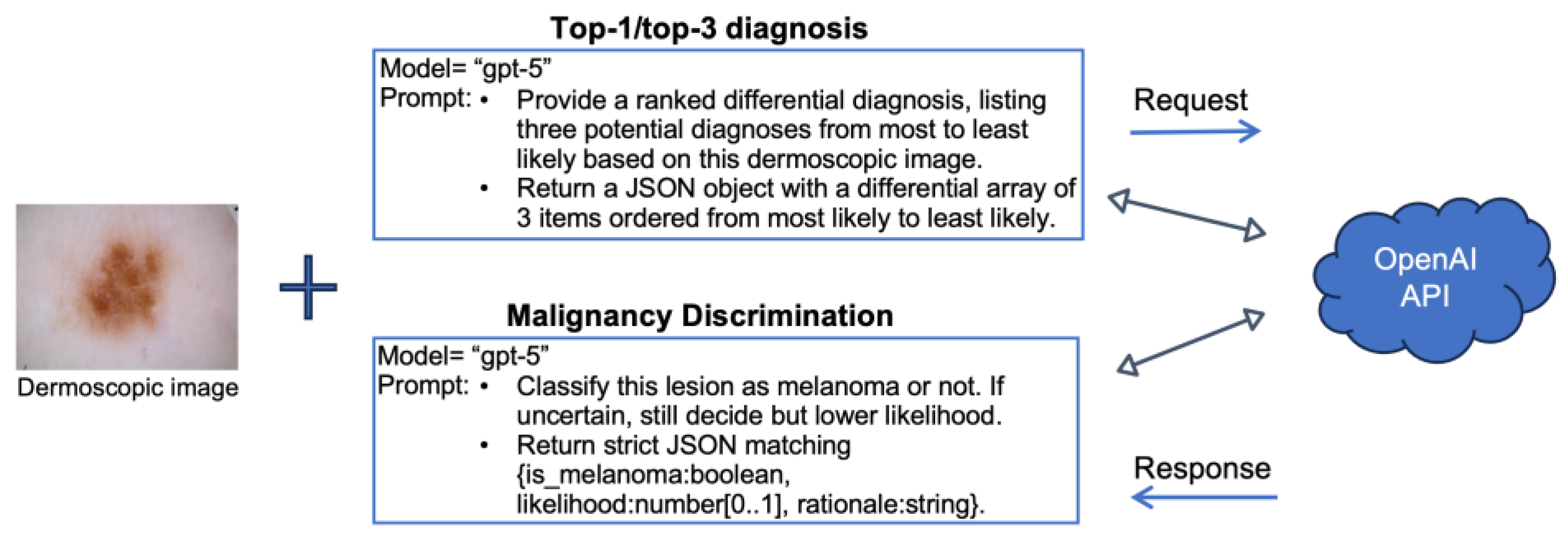 Diagnostics 15 03052 g001
