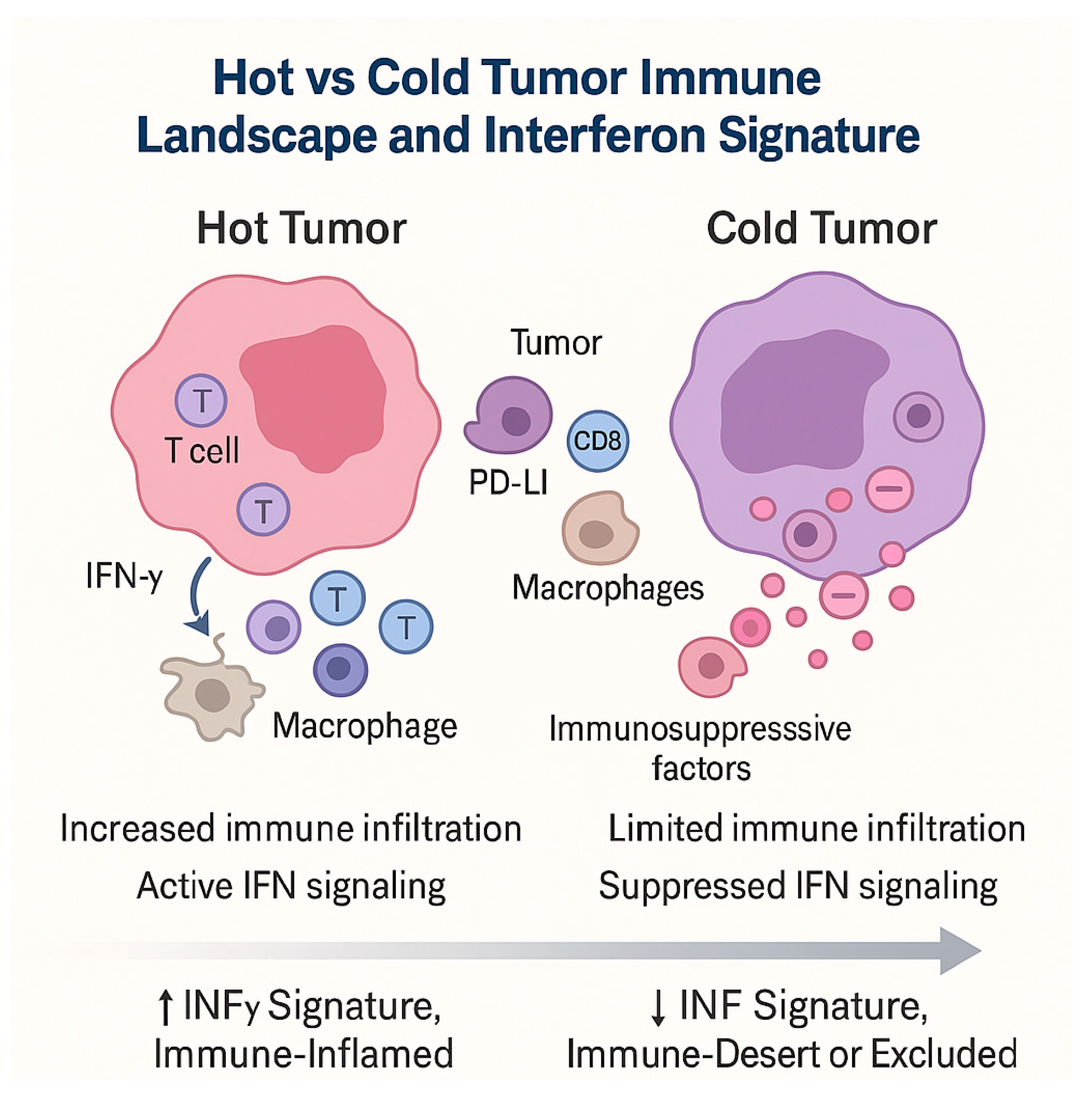 Diagnostics 15 03054 g002