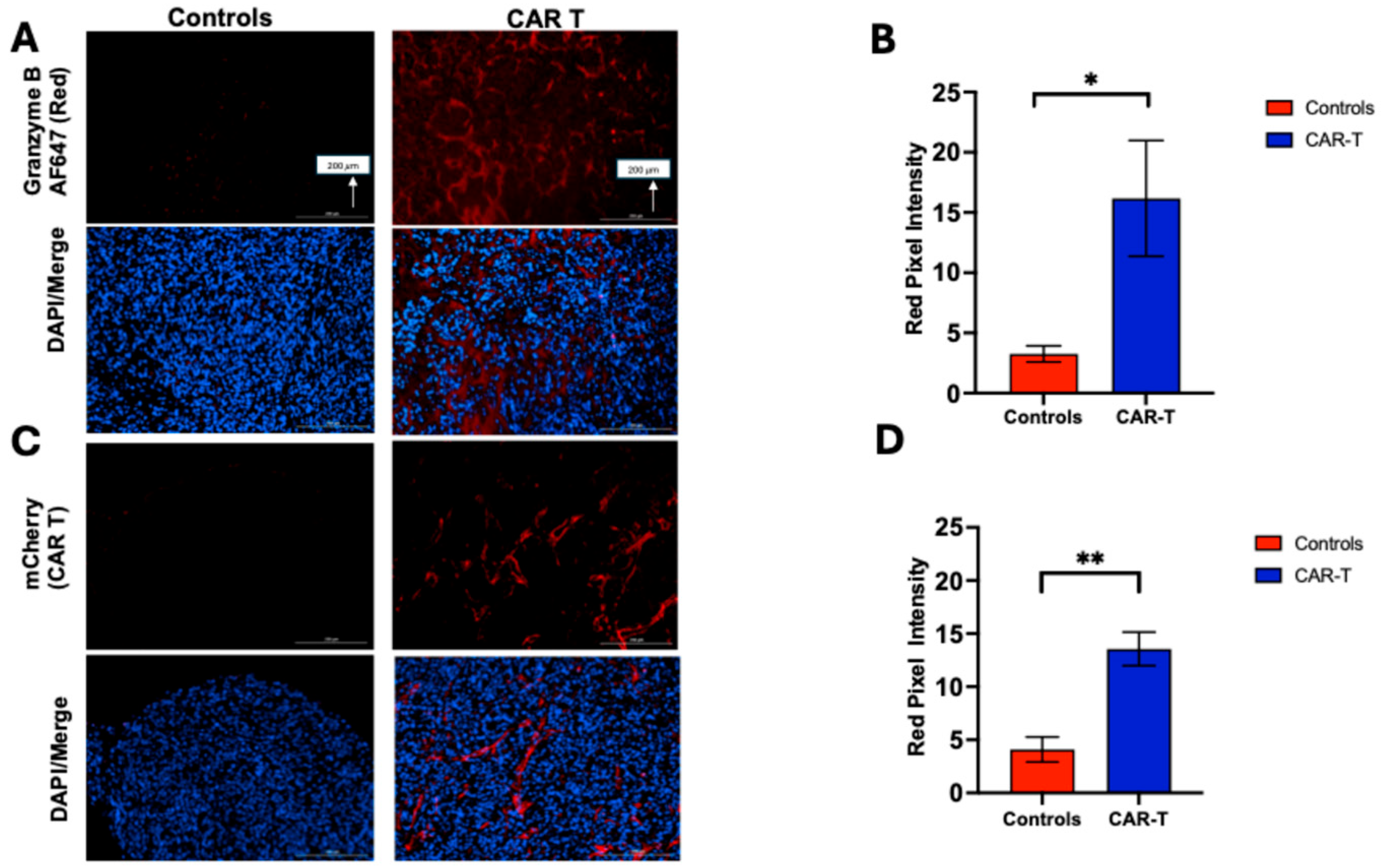 Diagnostics 15 03058 g005 Diagnostics 15 03058 g005