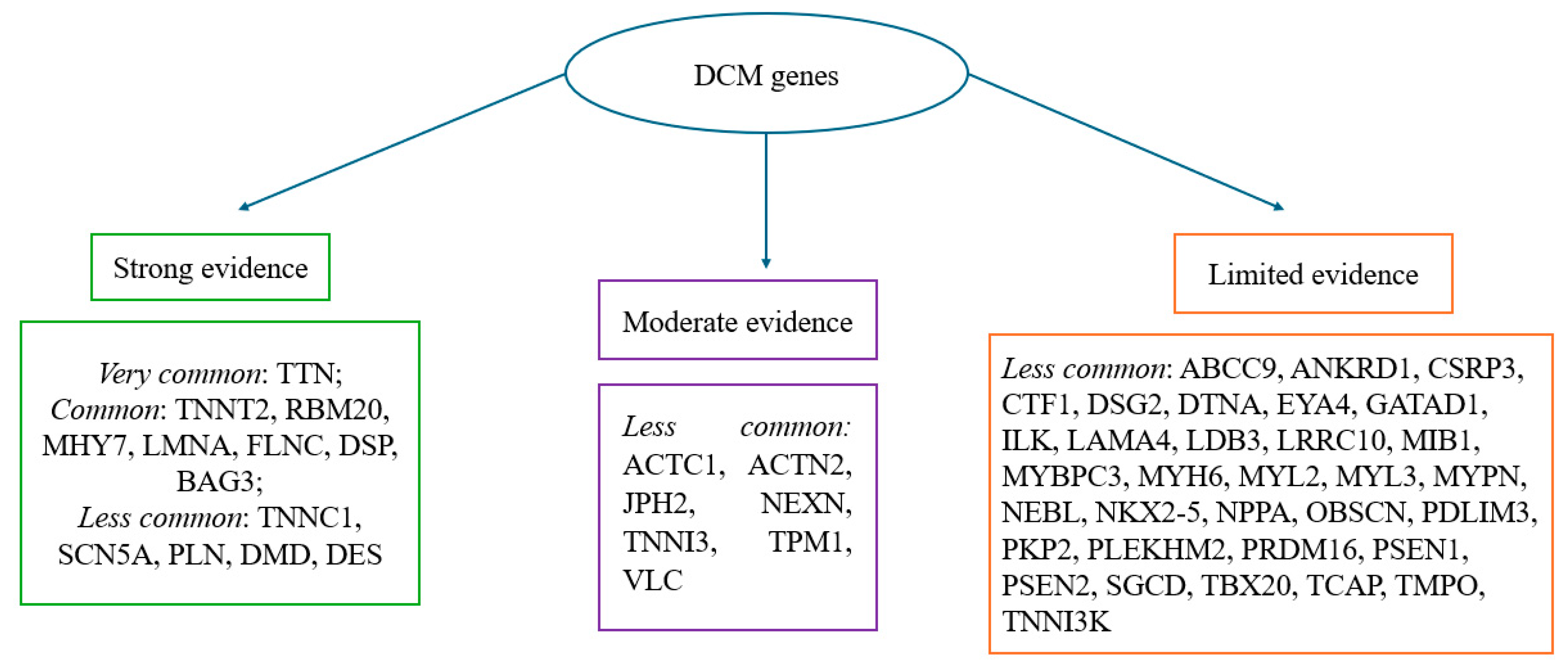 Diagnostics 15 03063 g002