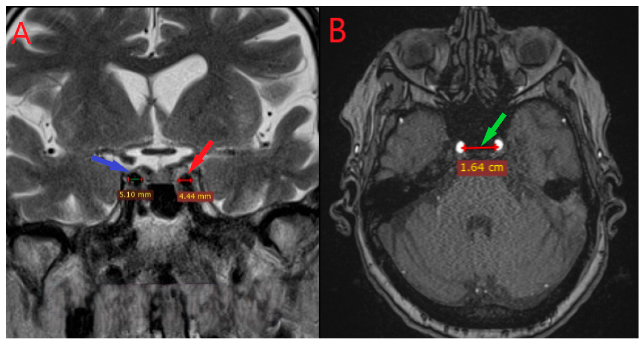 Diagnostics 15 03072 g001