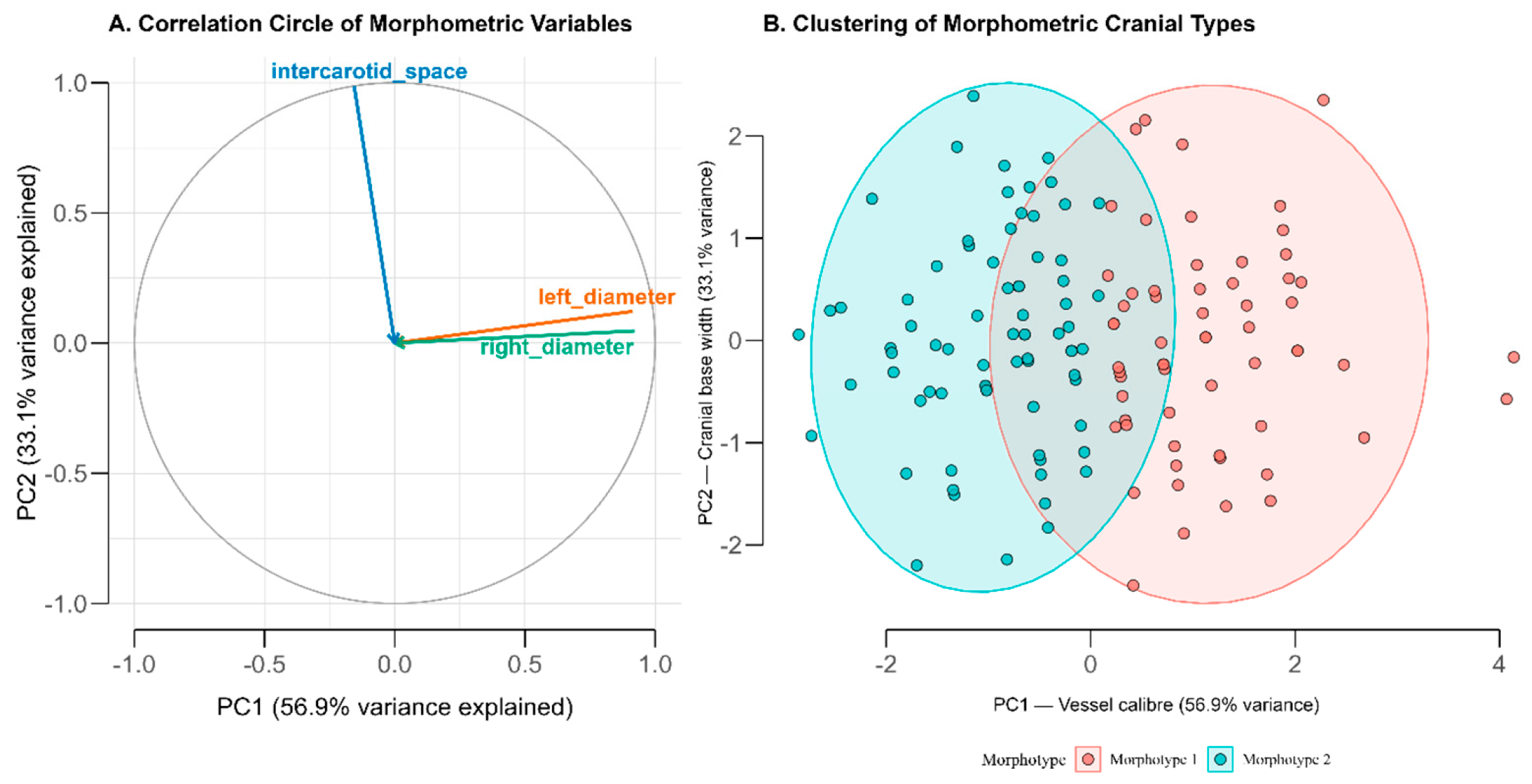 Diagnostics 15 03072 g004