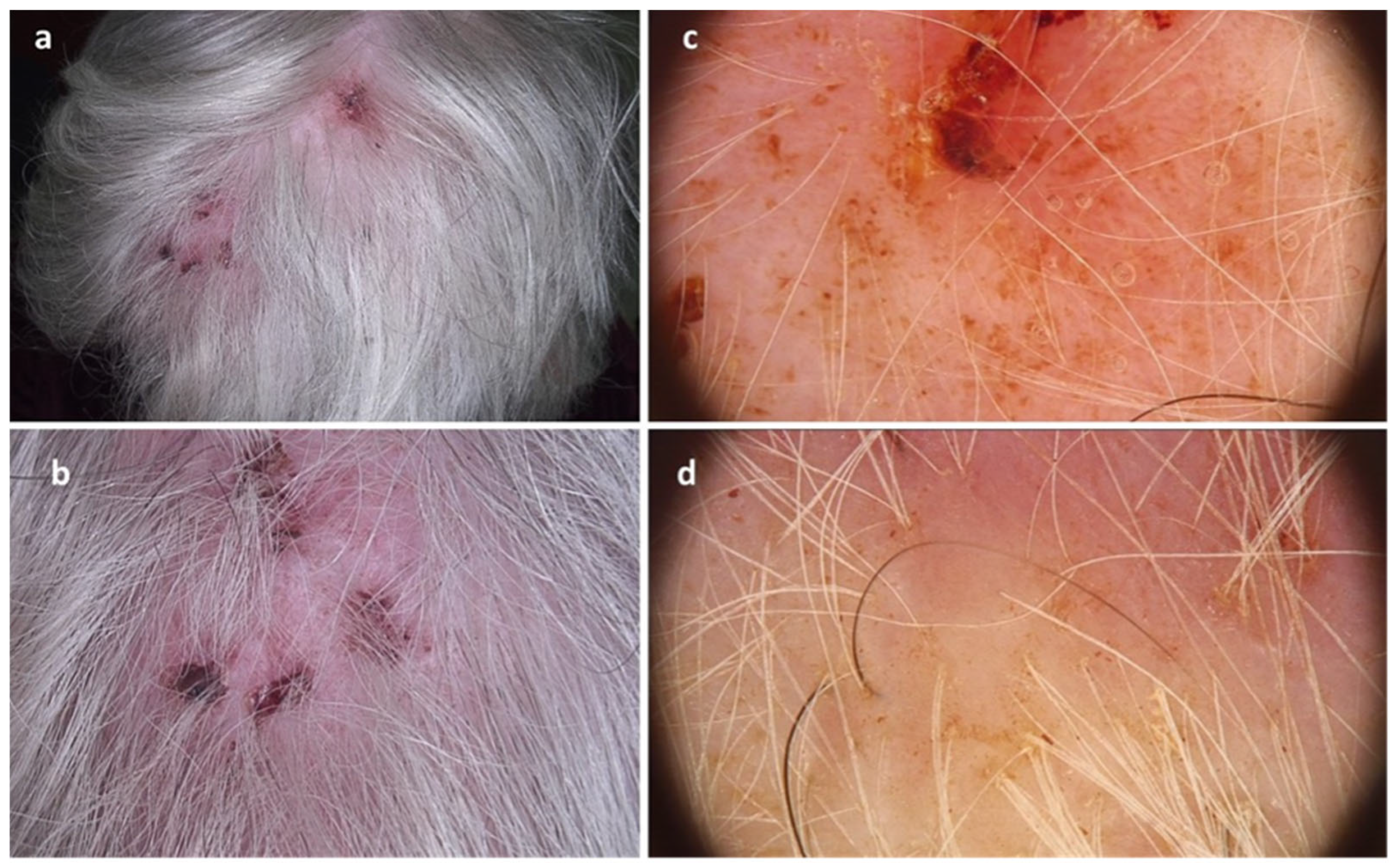 Diagnostics 15 03074 g001