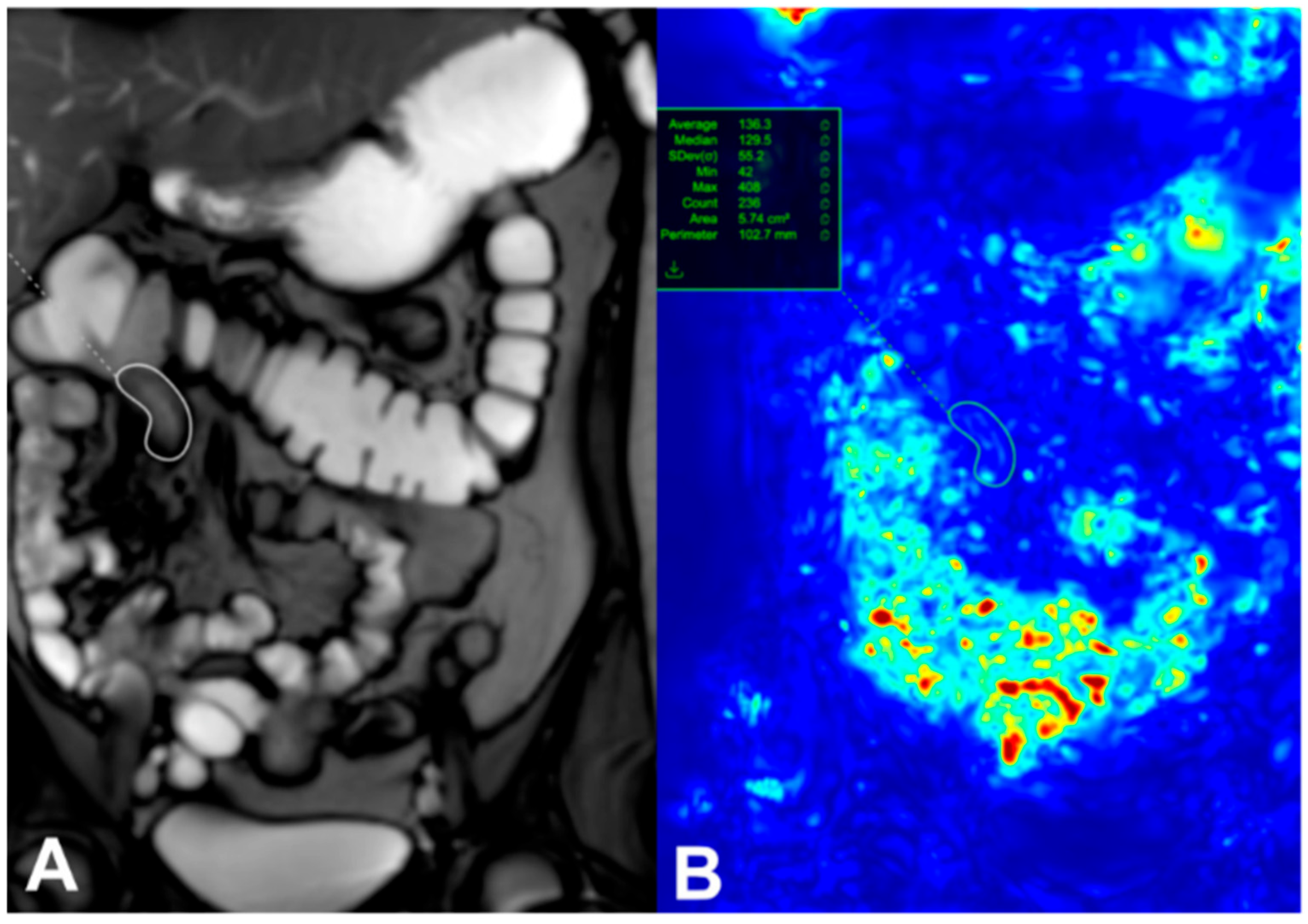 Diagnostics 15 03078 g001