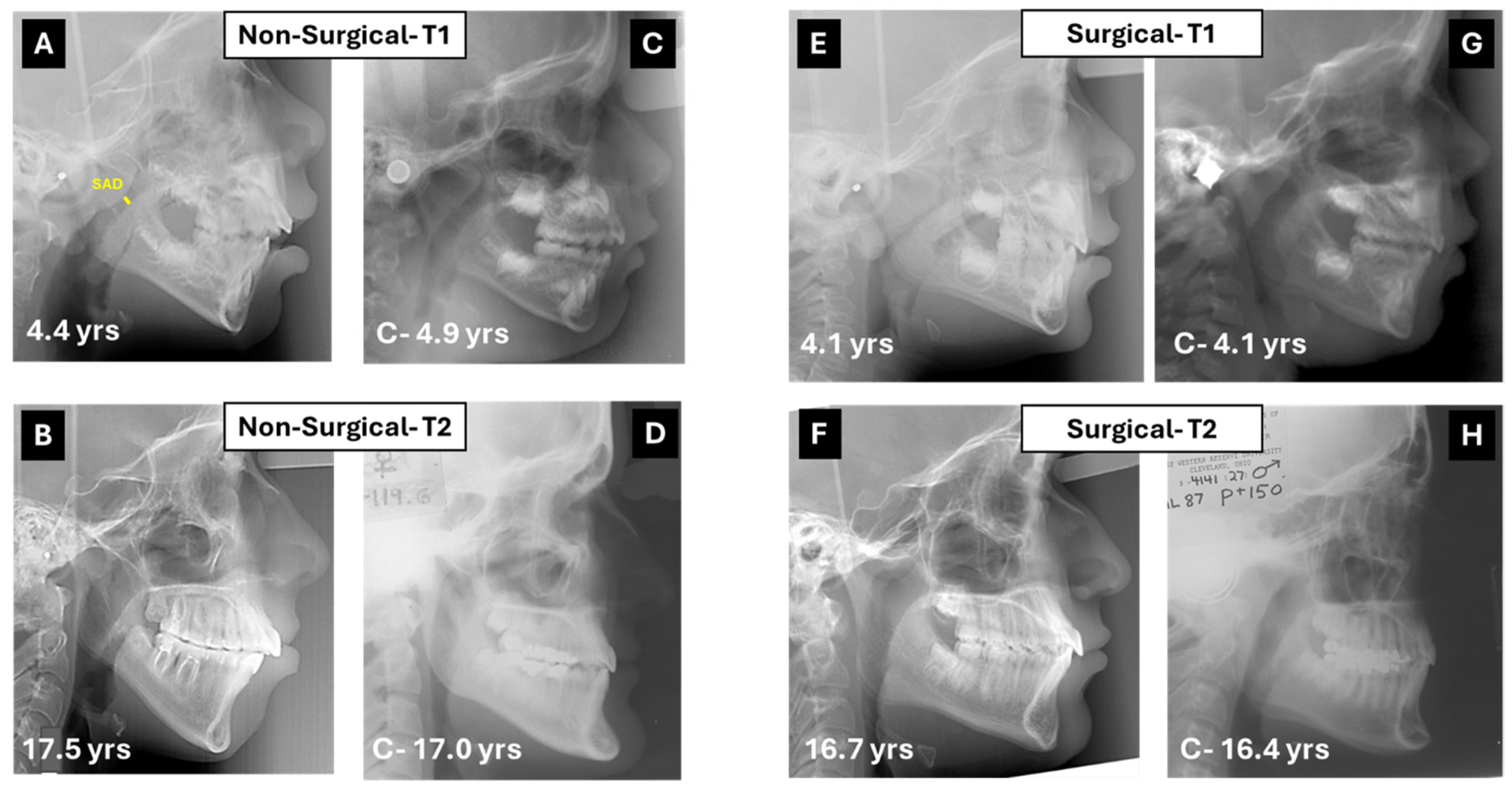 Diagnostics 15 03079 g001