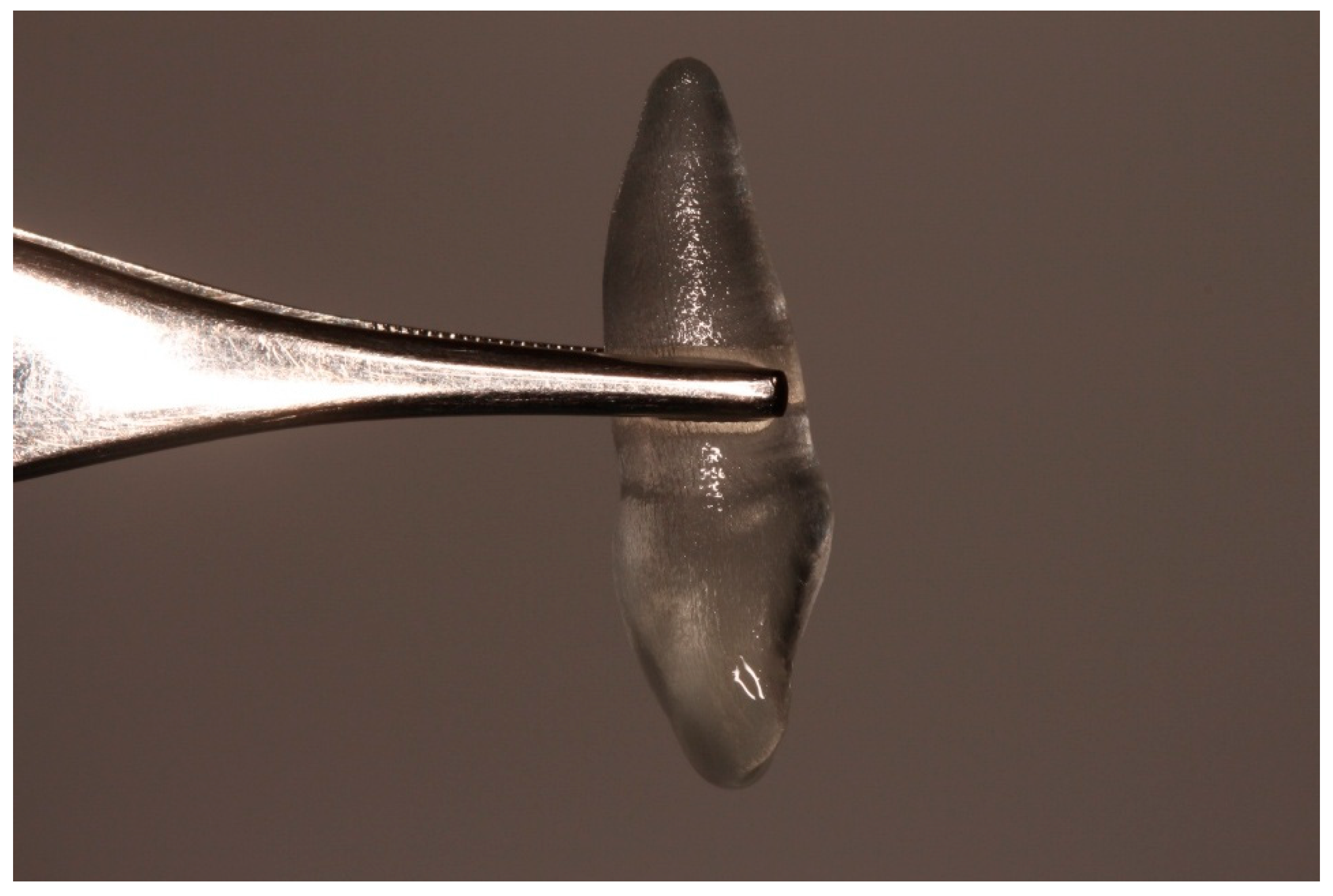 Diagnostics 15 03080 g003 Diagnostics 15 03080 g003