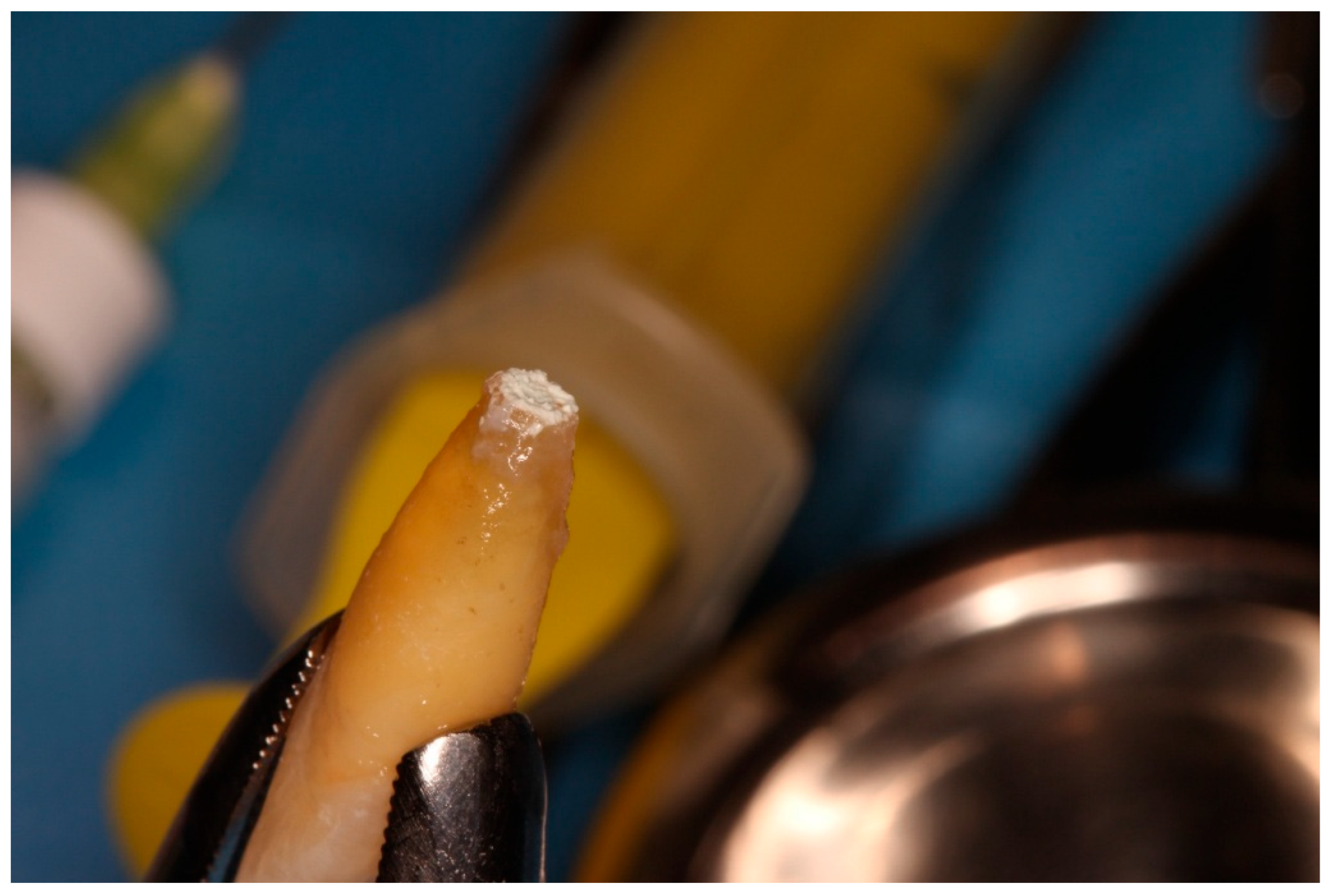 Diagnostics 15 03080 g007 Diagnostics 15 03080 g007