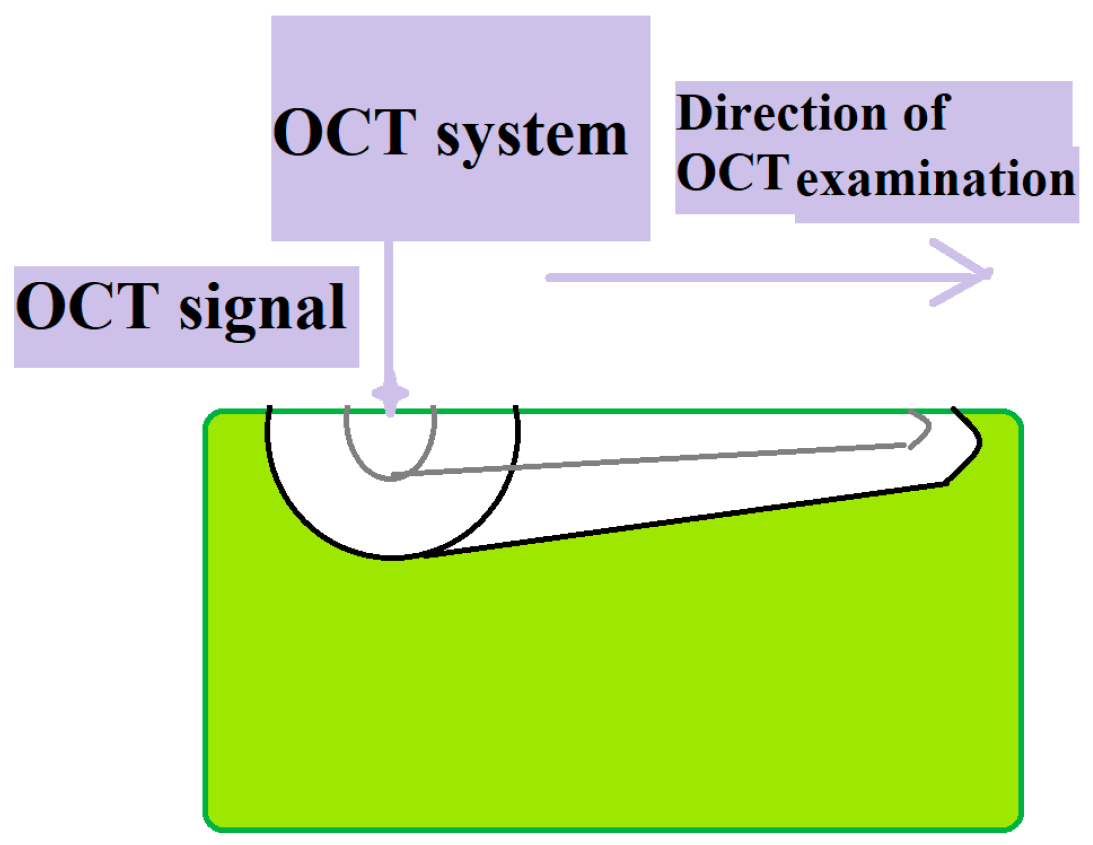 Diagnostics 15 03083 g002