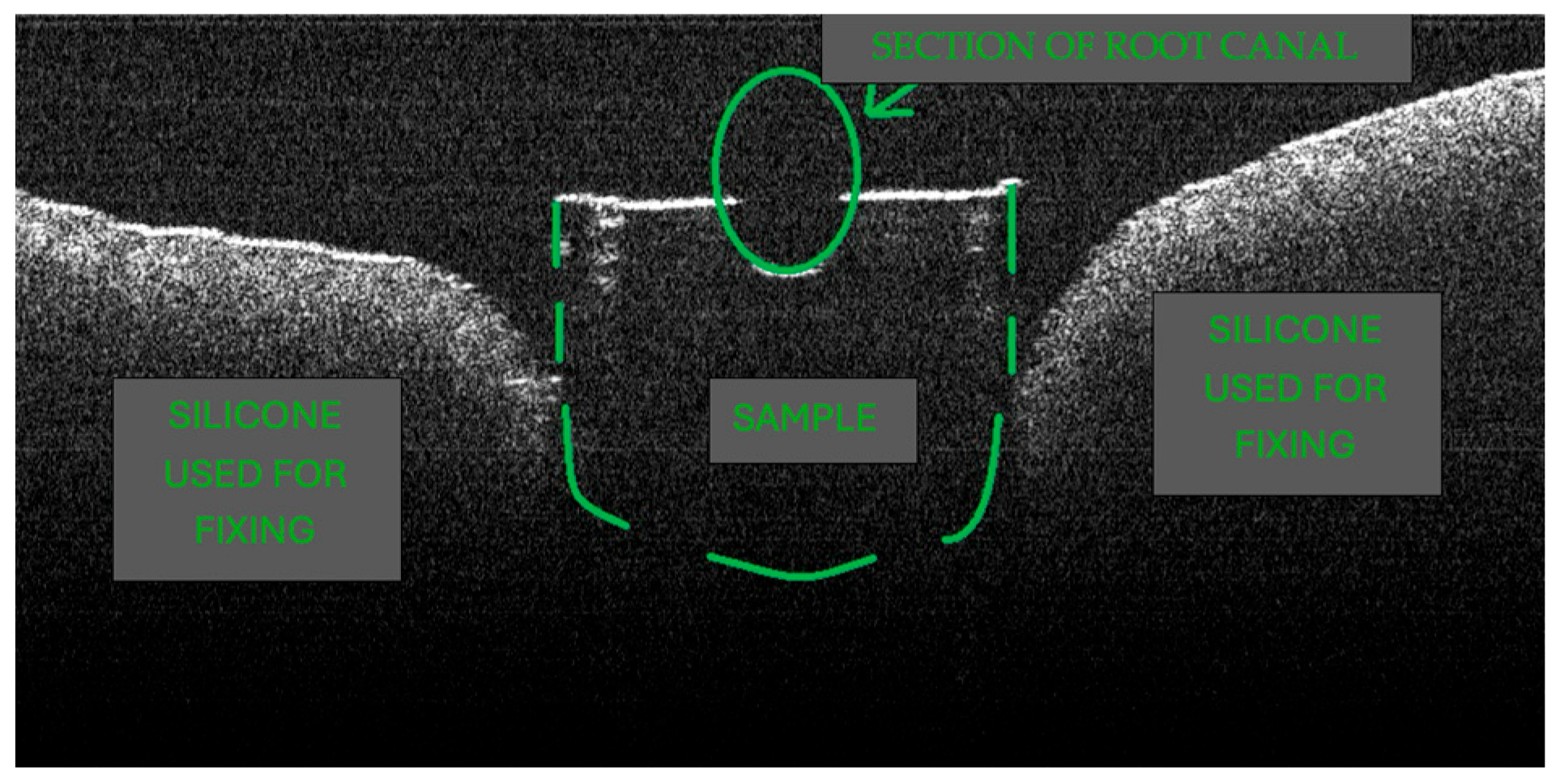 Diagnostics 15 03083 g003