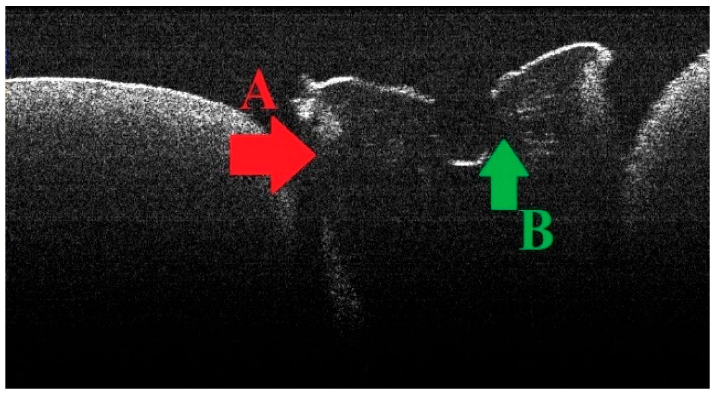 Diagnostics 15 03083 g004