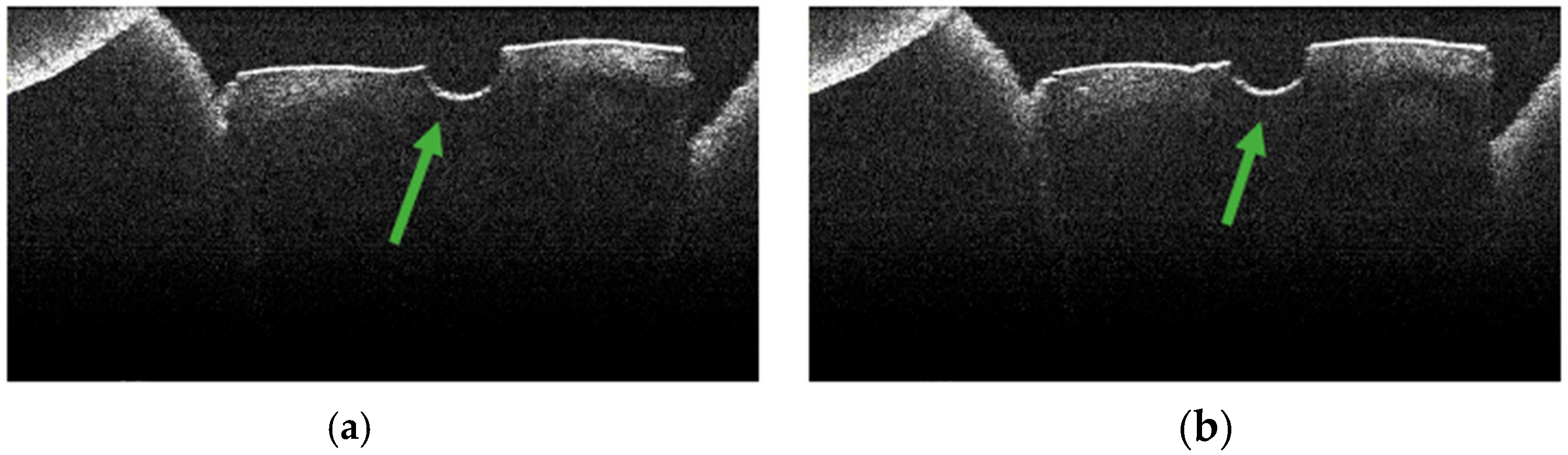 Diagnostics 15 03083 g005