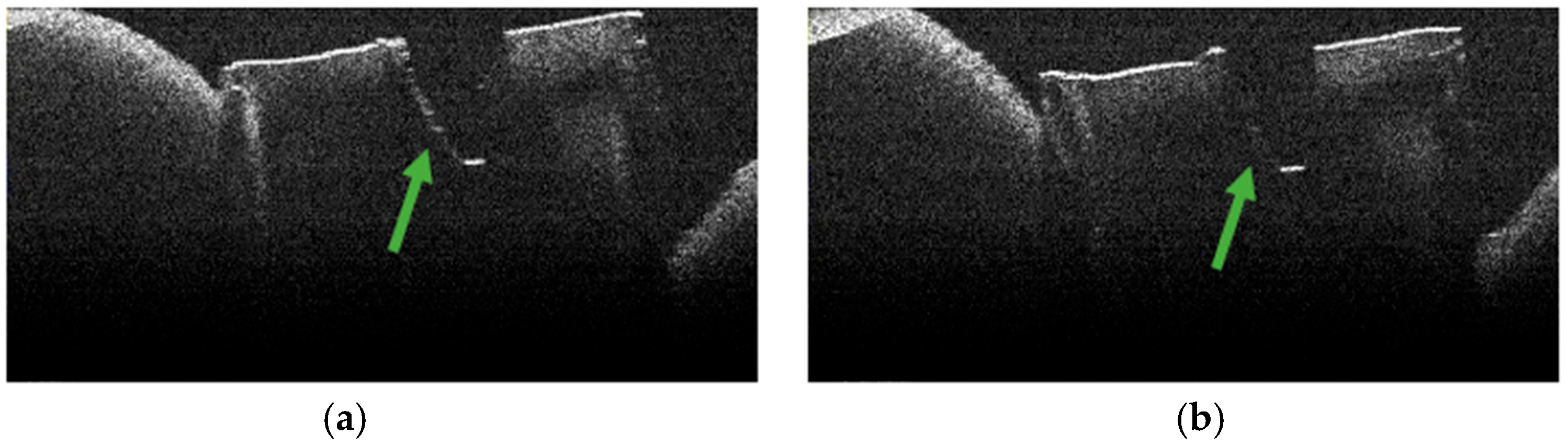 Diagnostics 15 03083 g006