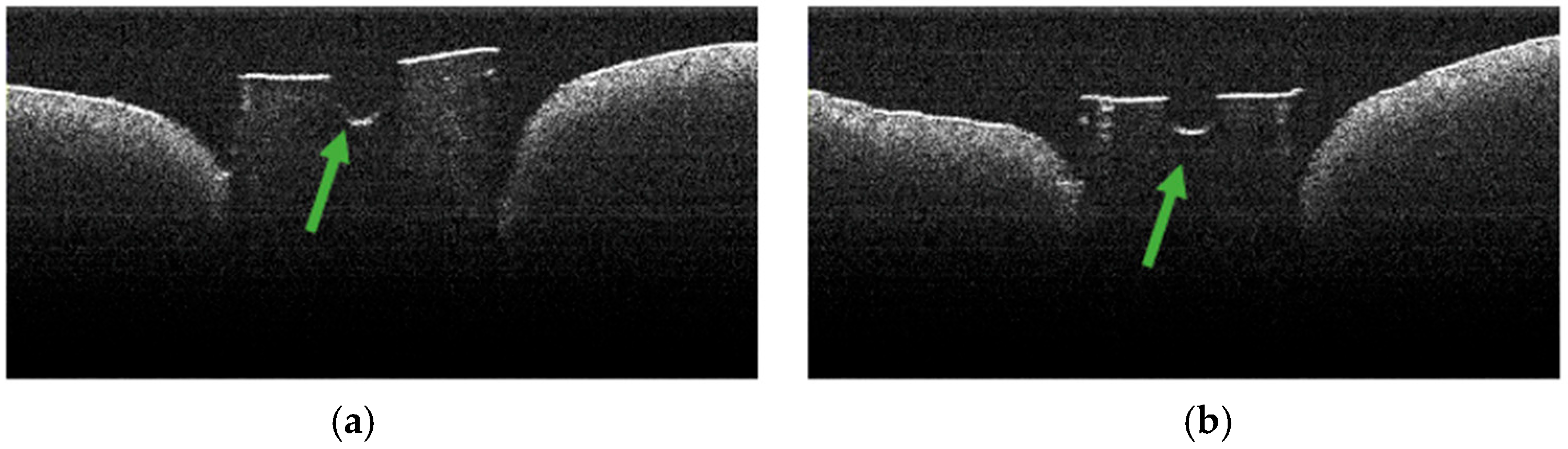 Diagnostics 15 03083 g007