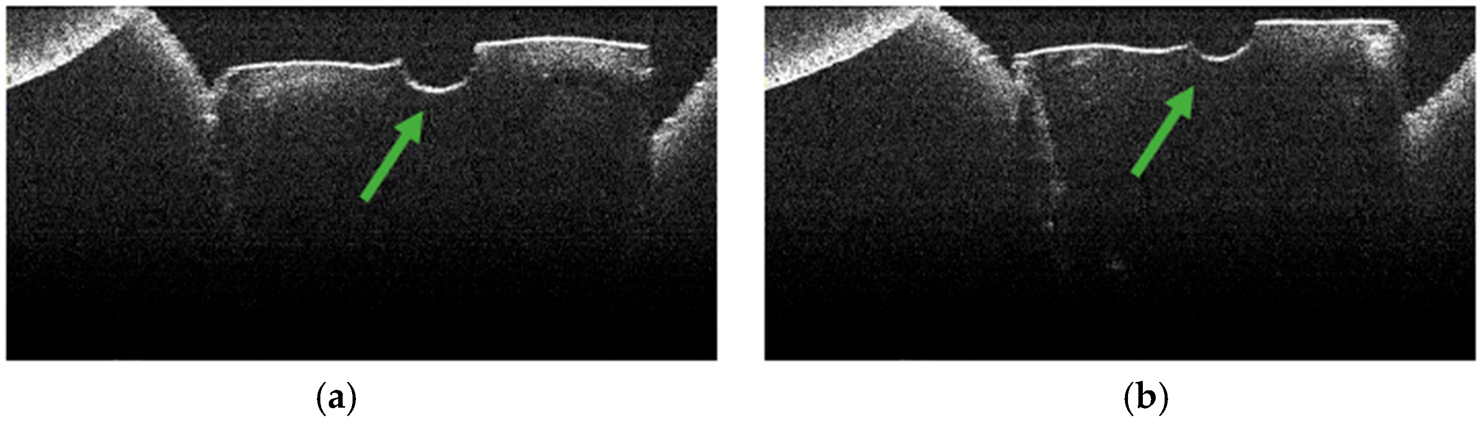 Diagnostics 15 03083 g008