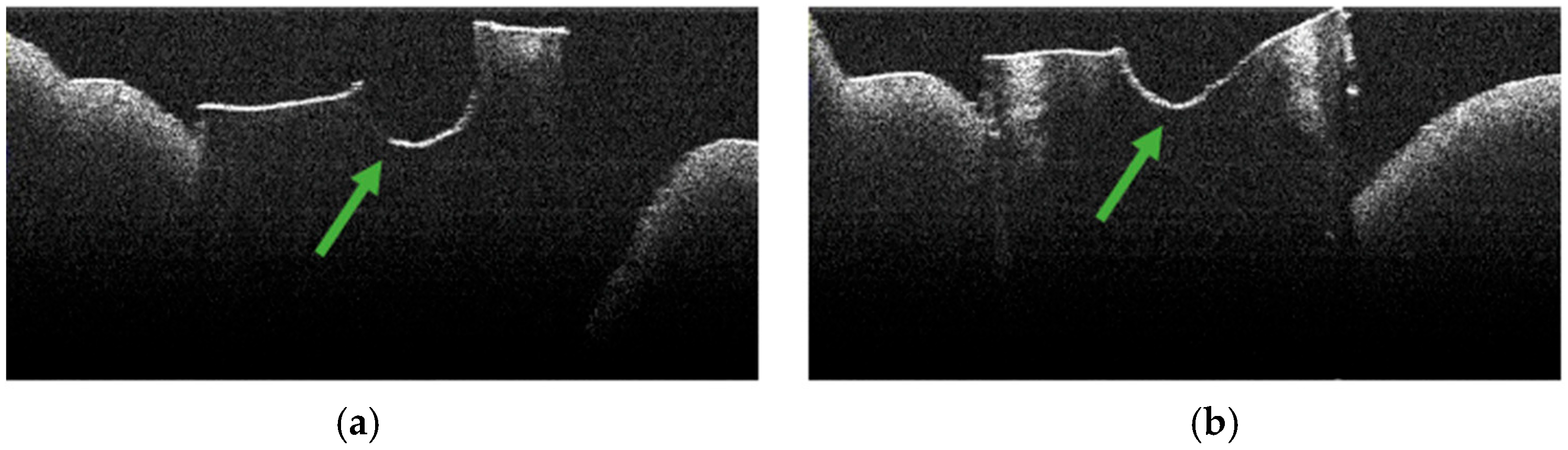 Diagnostics 15 03083 g009