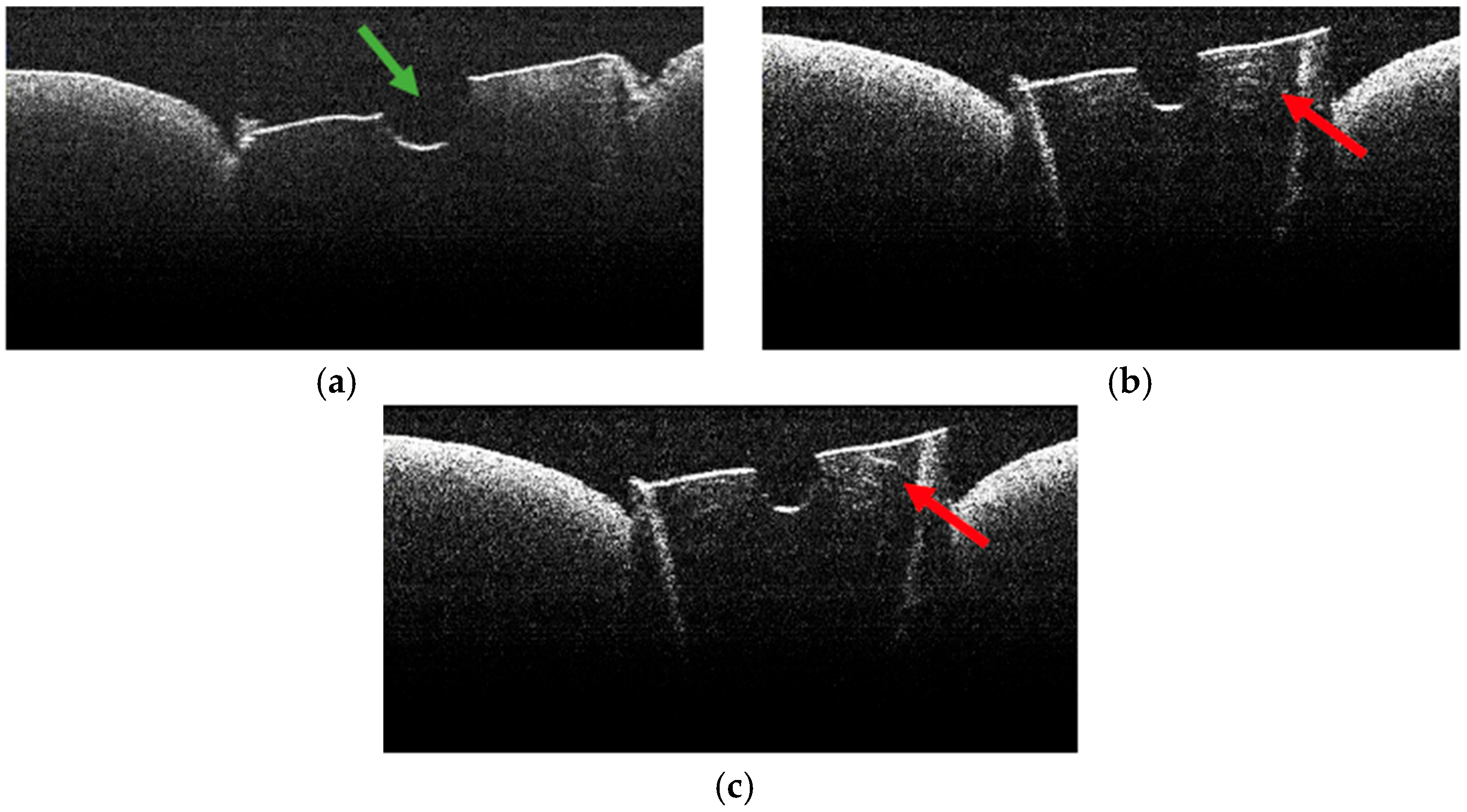 Diagnostics 15 03083 g010